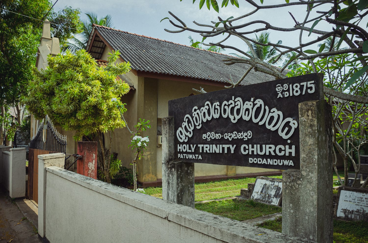 Фото 502 из альбома Sri Lanka 2019