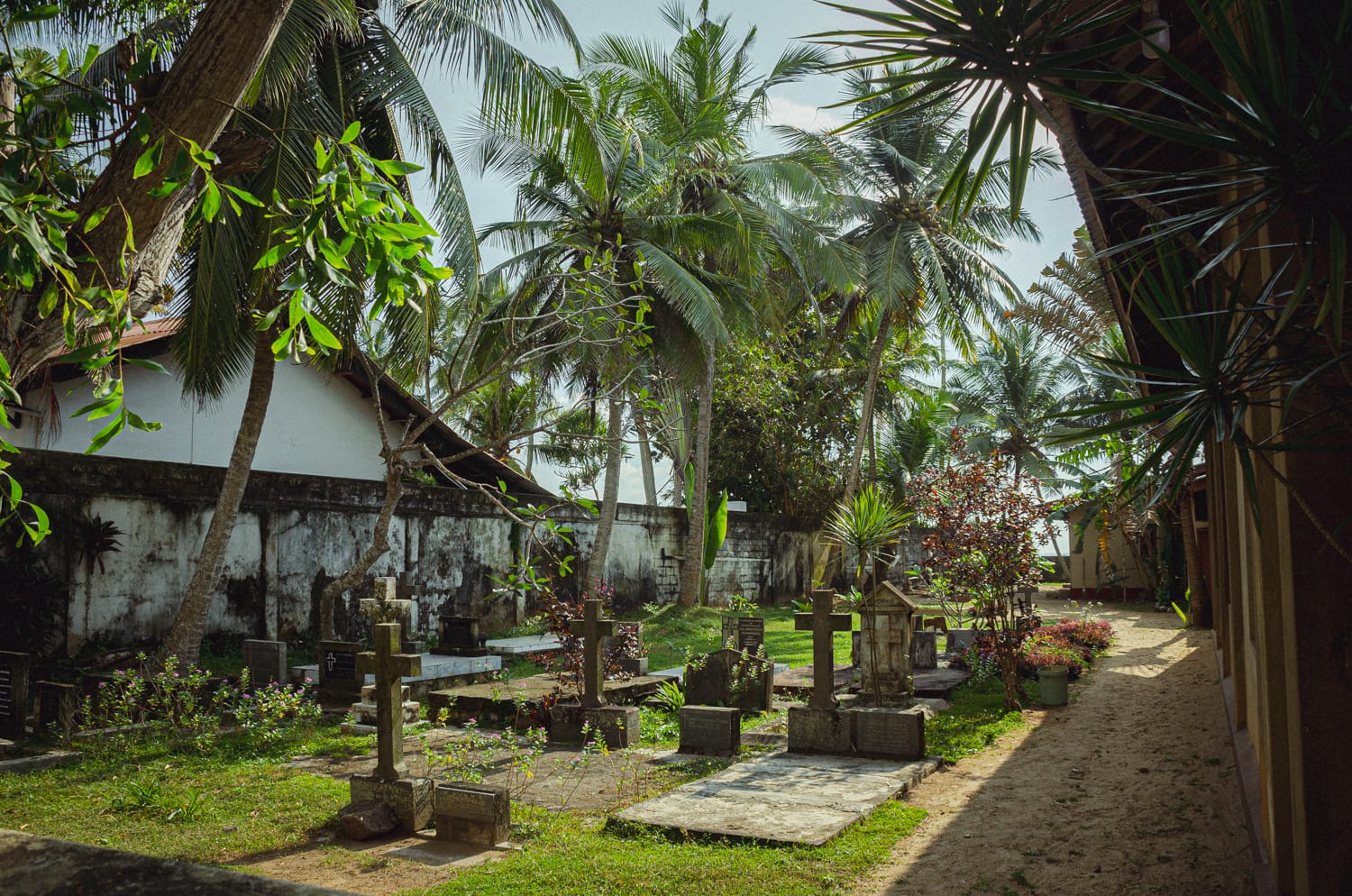 Фото 503 из альбома Sri Lanka 2019