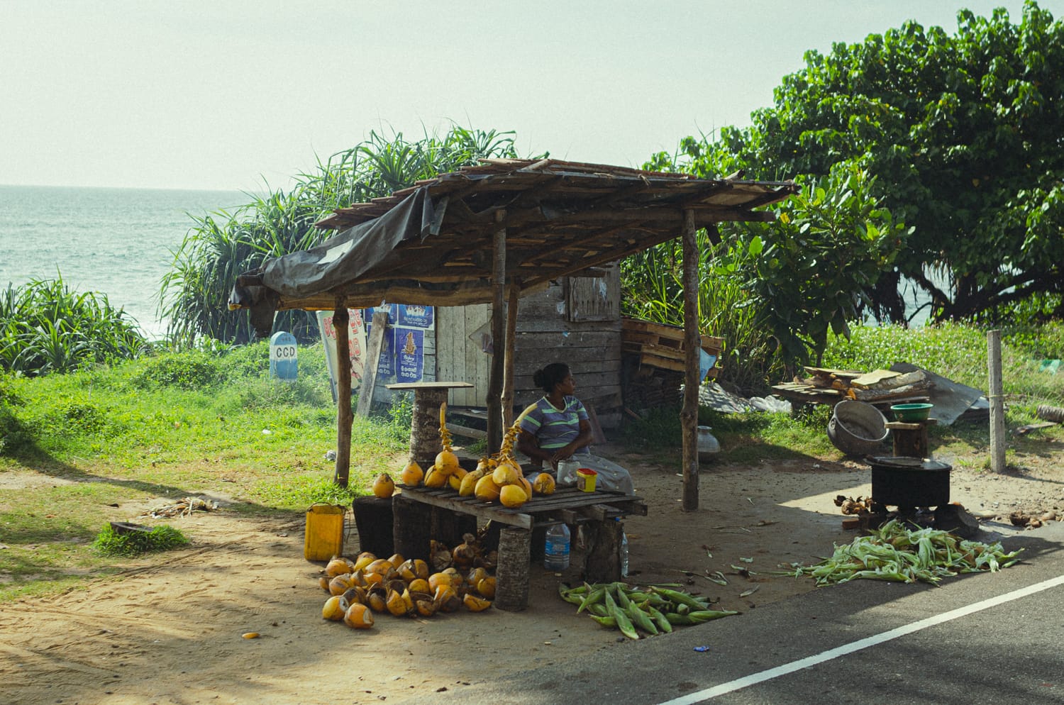 Фото 504 из альбома Sri Lanka 2019