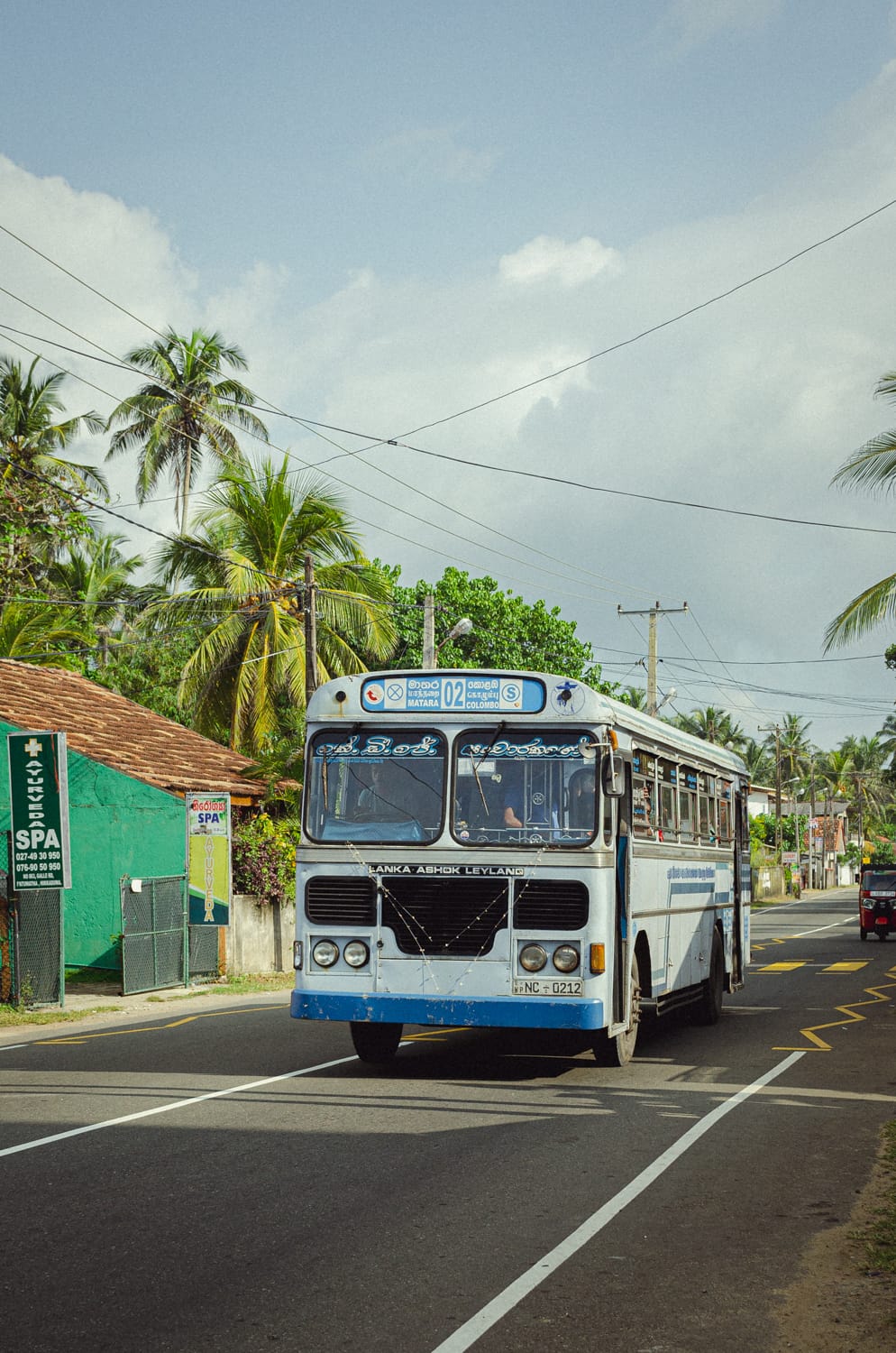 Фото 505 из альбома Sri Lanka 2019
