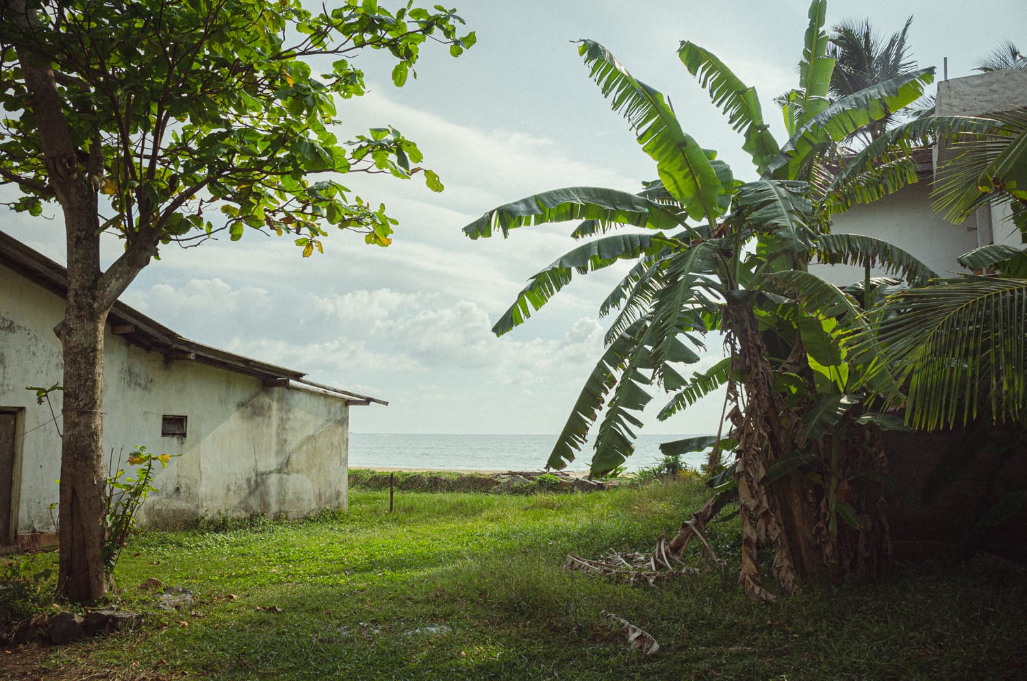Фото 507 из альбома Sri Lanka 2019