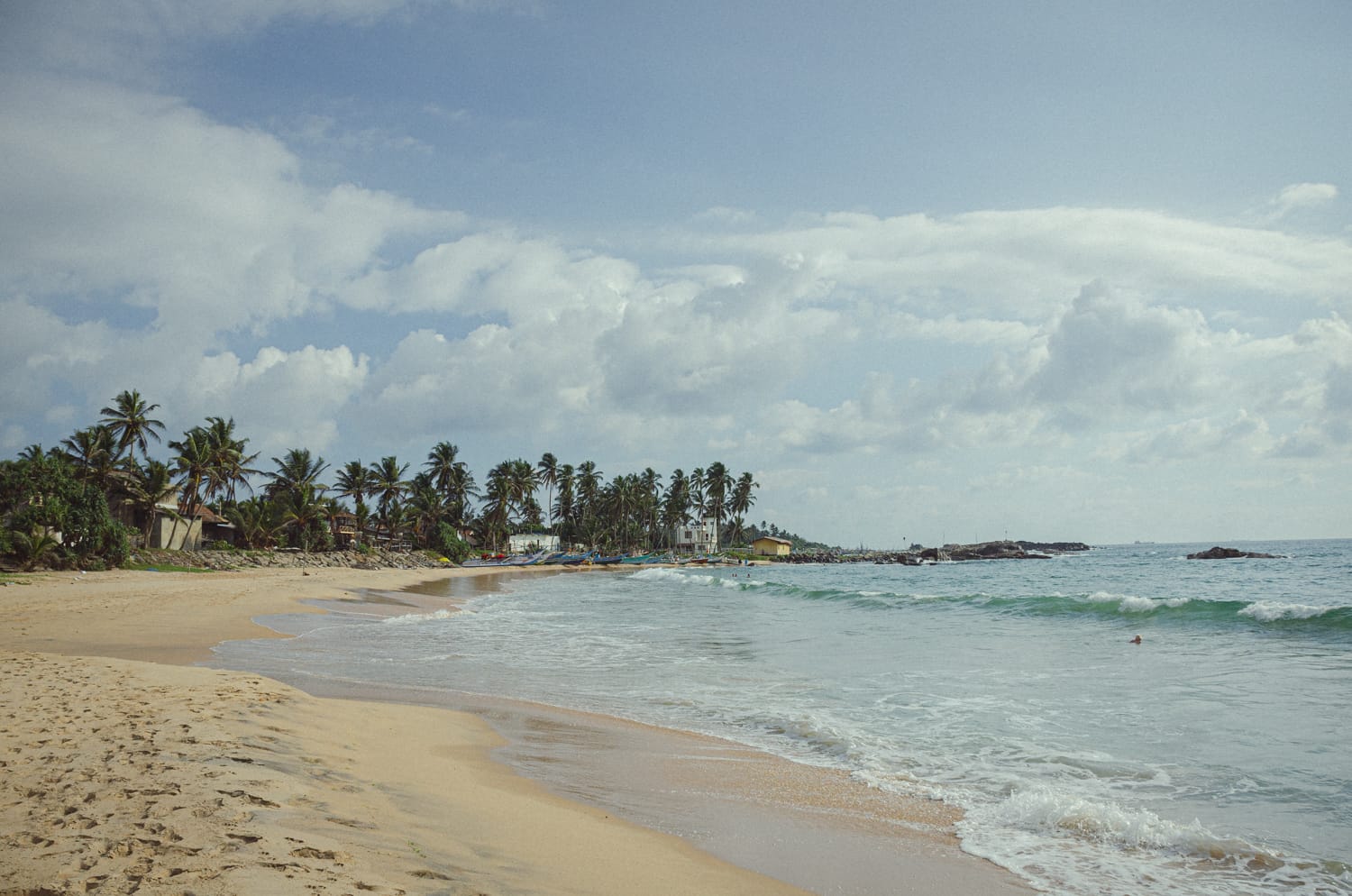 Фото 511 из альбома Sri Lanka 2019