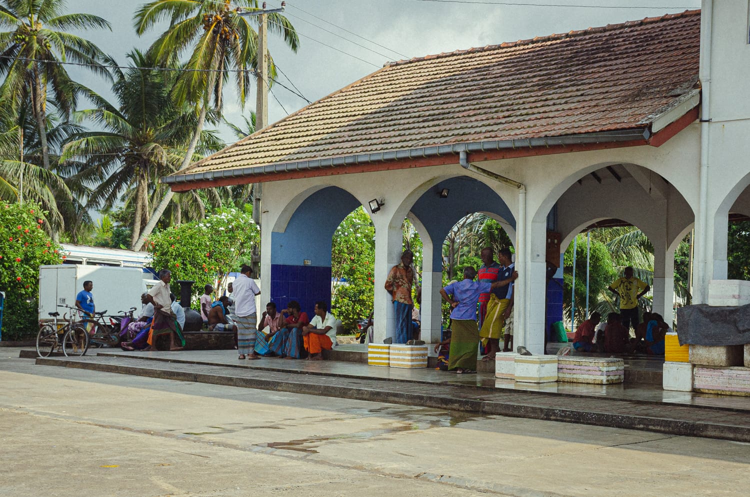 Фото 512 из альбома Sri Lanka 2019