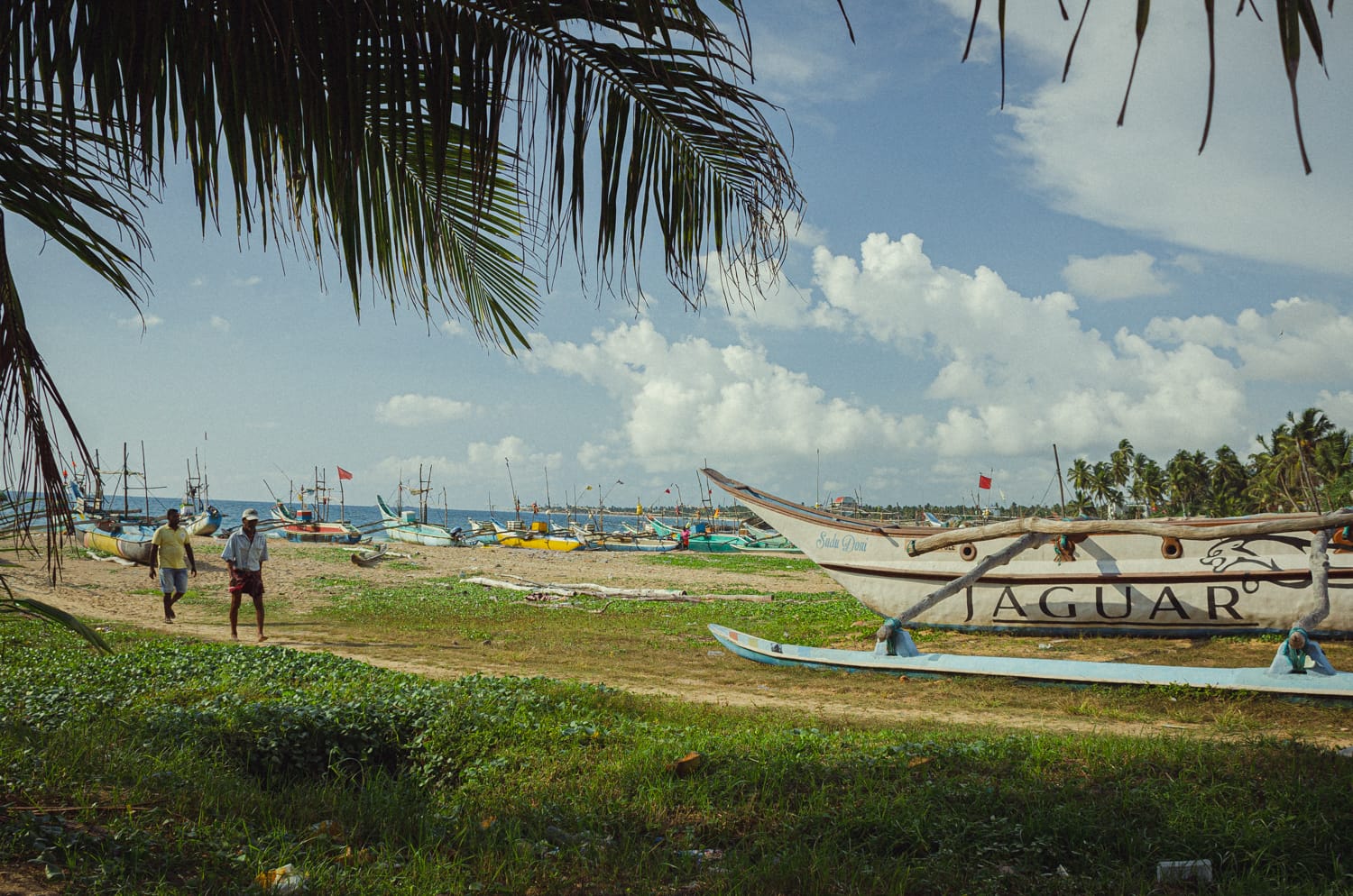 Фото 514 из альбома Sri Lanka 2019