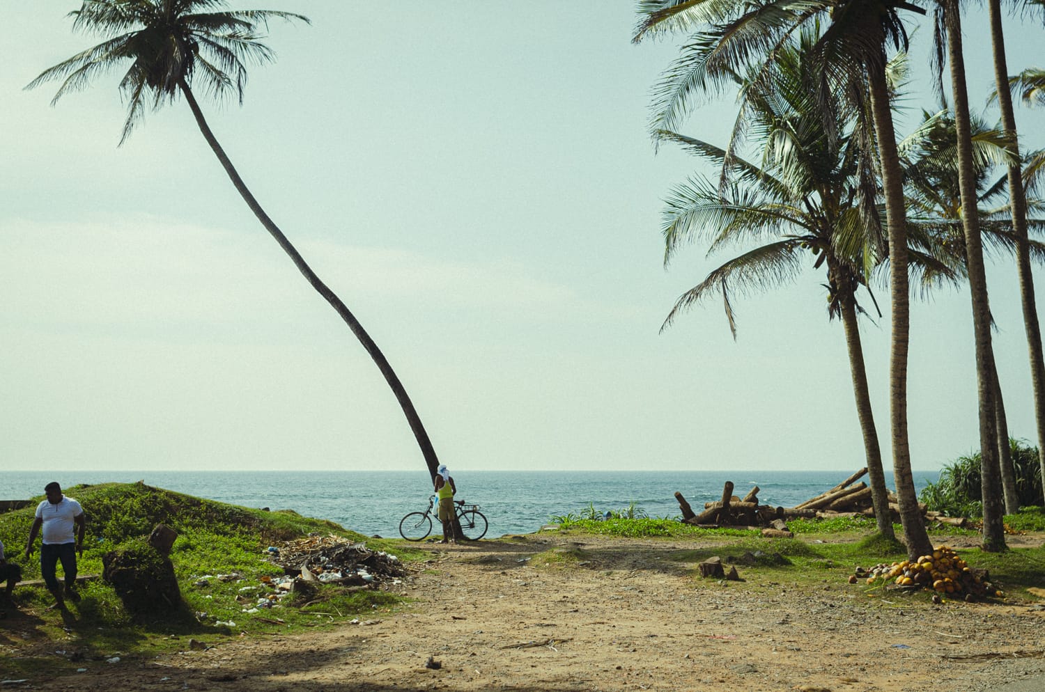 Фото 515 из альбома Sri Lanka 2019