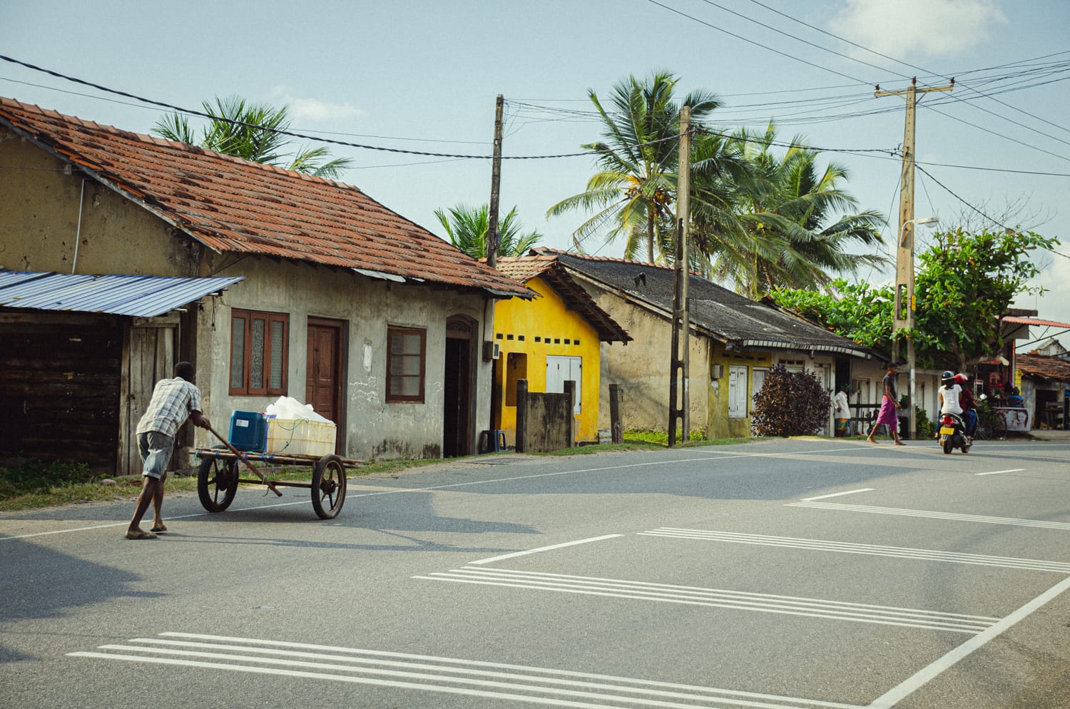 Фото 522 из альбома Sri Lanka 2019