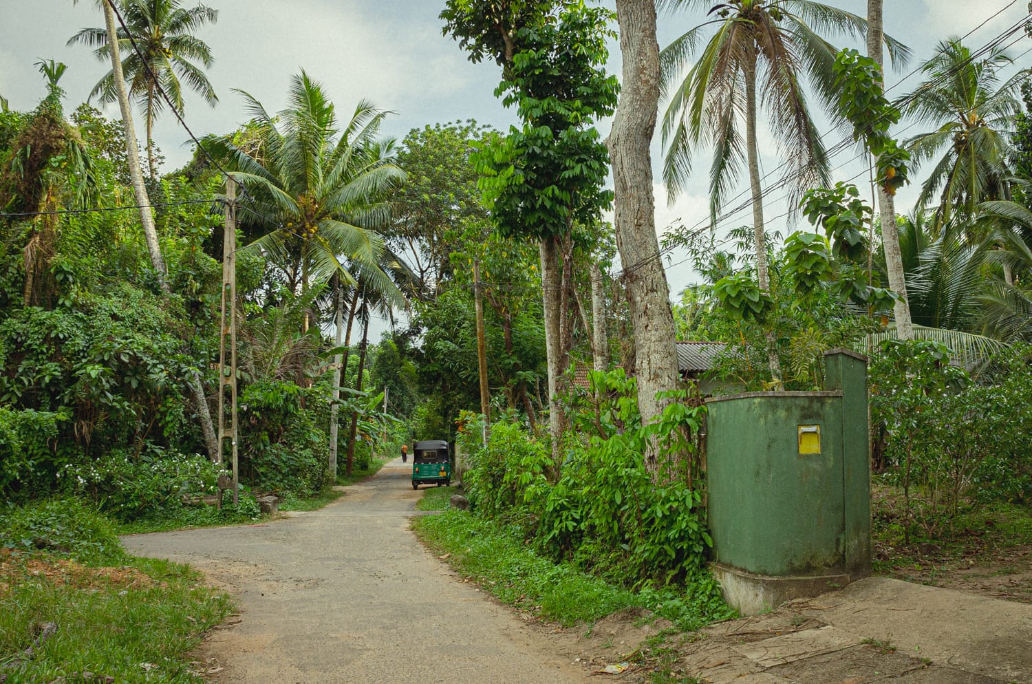 Фото 529 из альбома Sri Lanka 2019