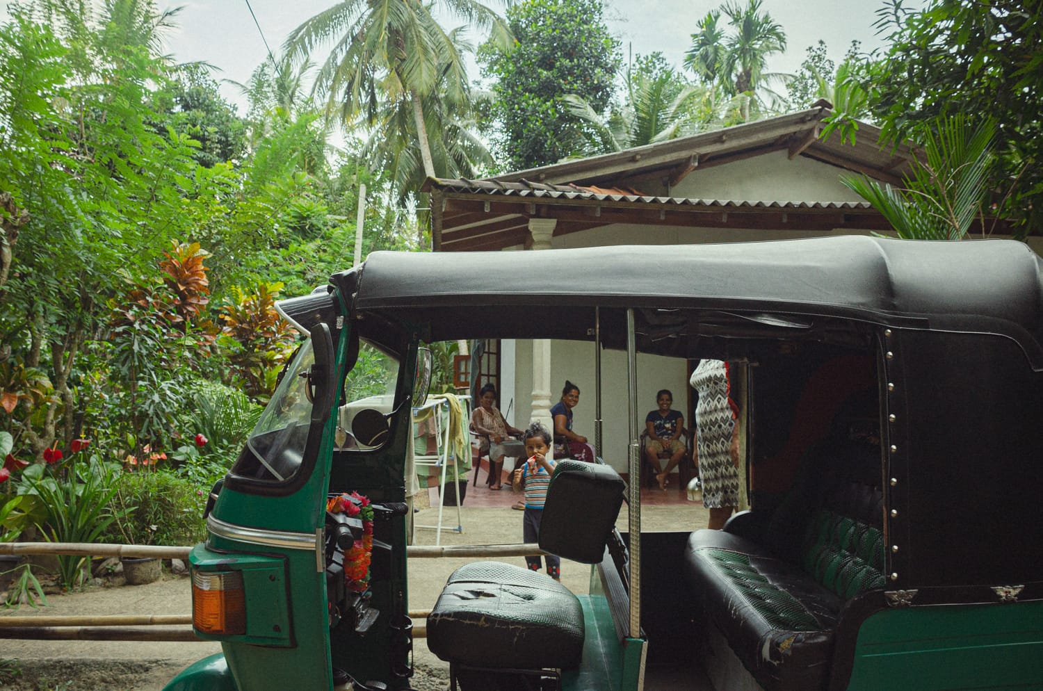 Фото 530 из альбома Sri Lanka 2019