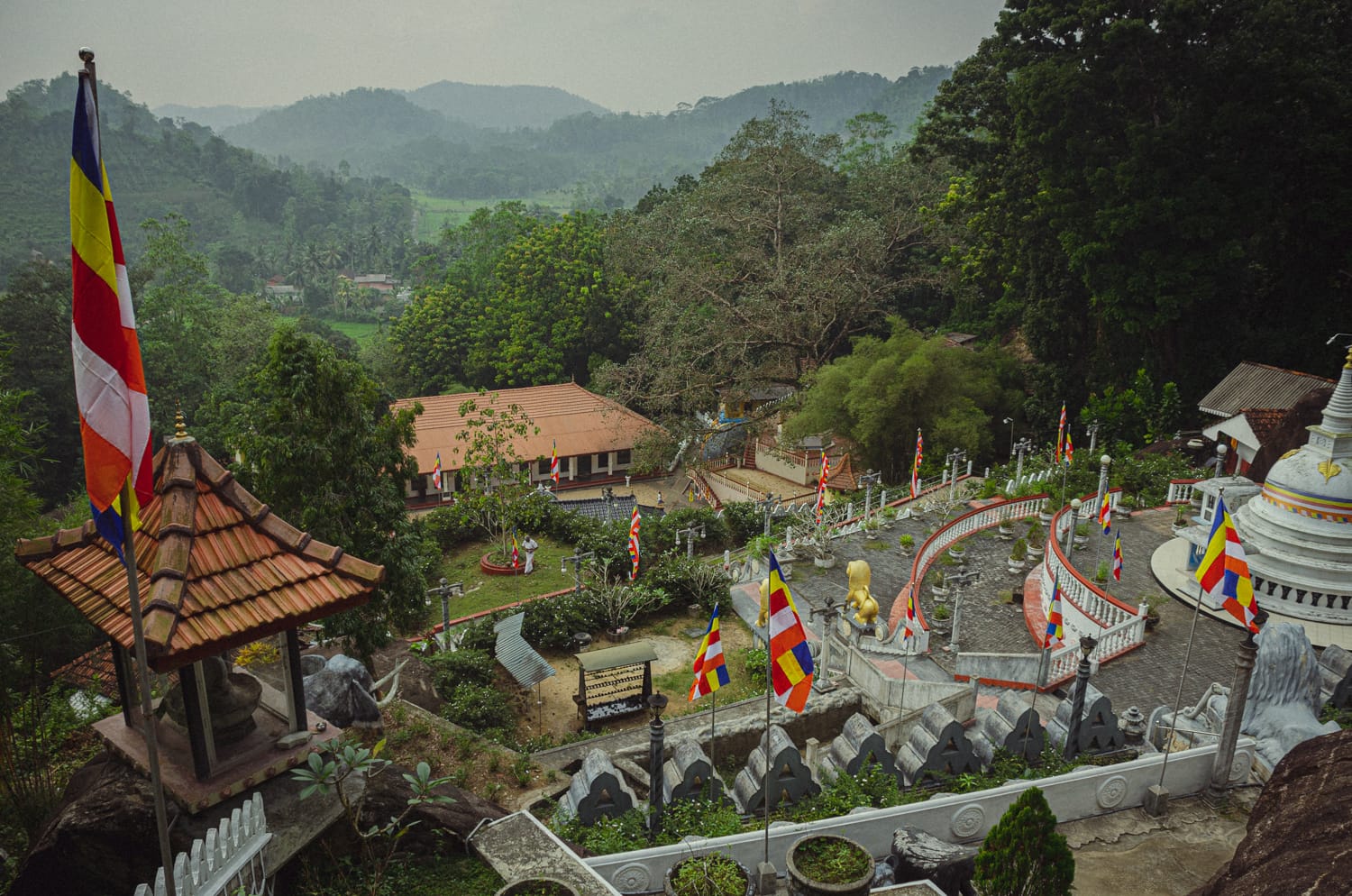 Фото 532 из альбома Sri Lanka 2019