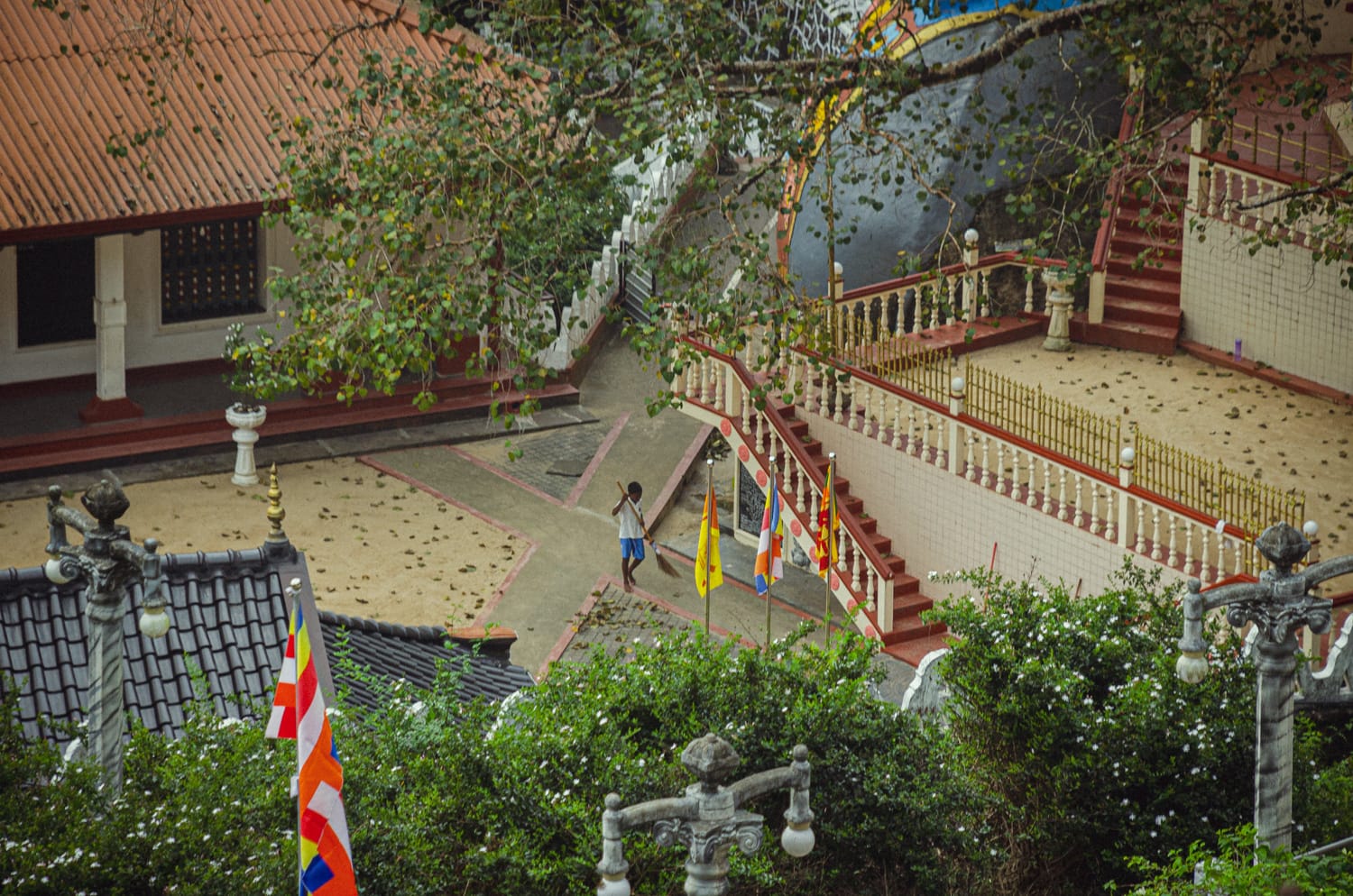 Фото 533 из альбома Sri Lanka 2019