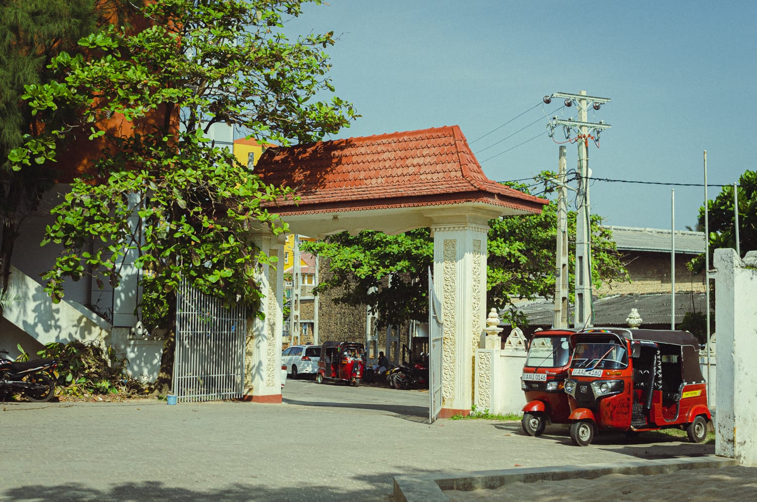 Фото 535 из альбома Sri Lanka 2019