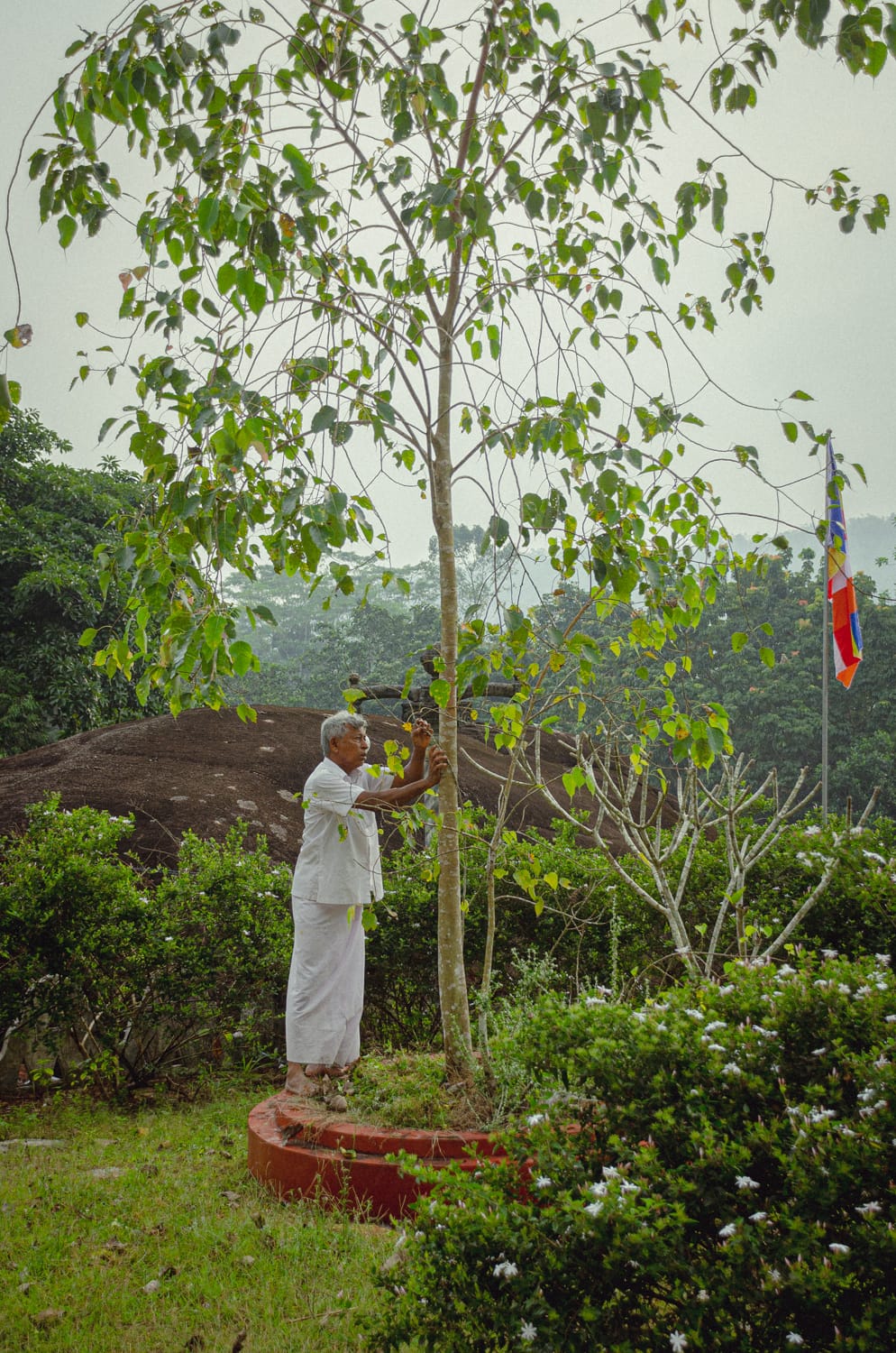 Фото 536 из альбома Sri Lanka 2019