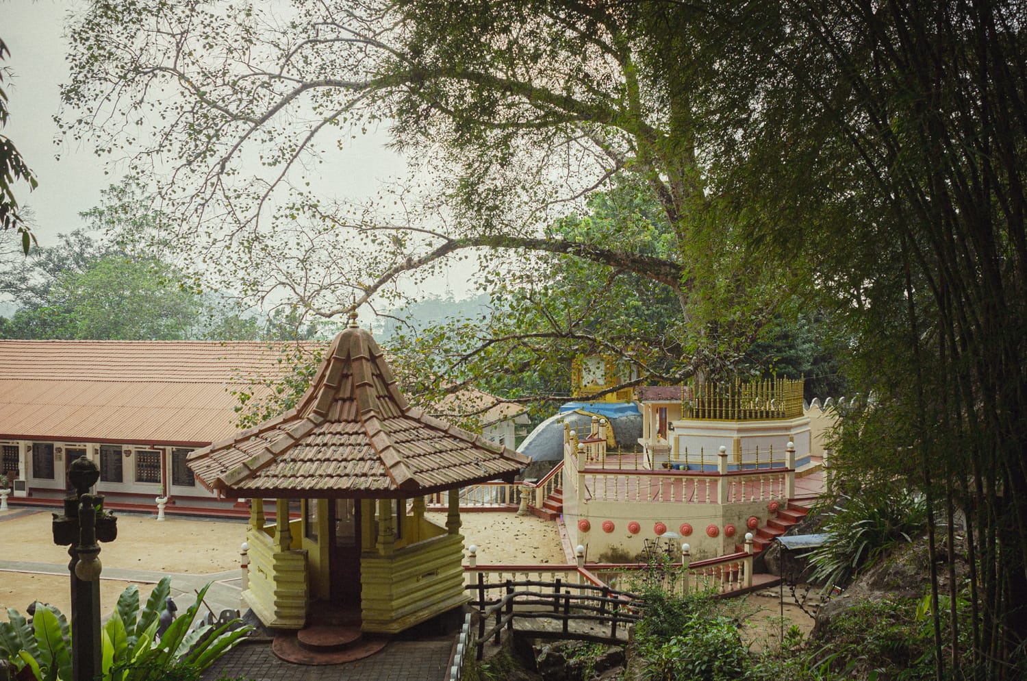 Фото 537 из альбома Sri Lanka 2019