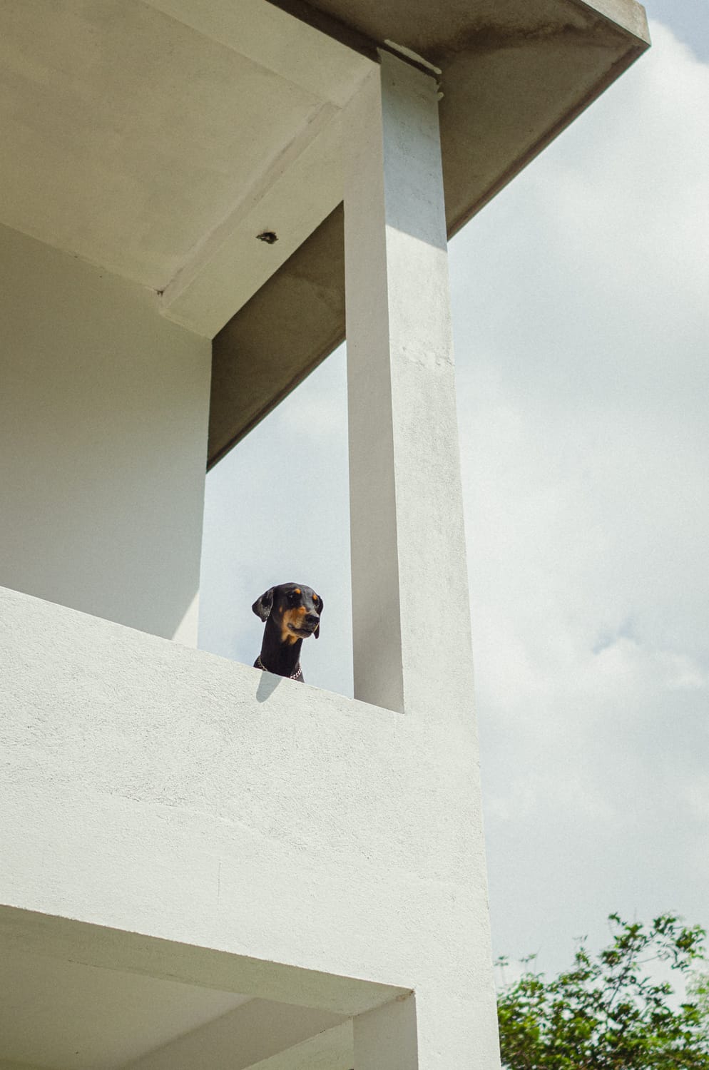 Фото 538 из альбома Sri Lanka 2019