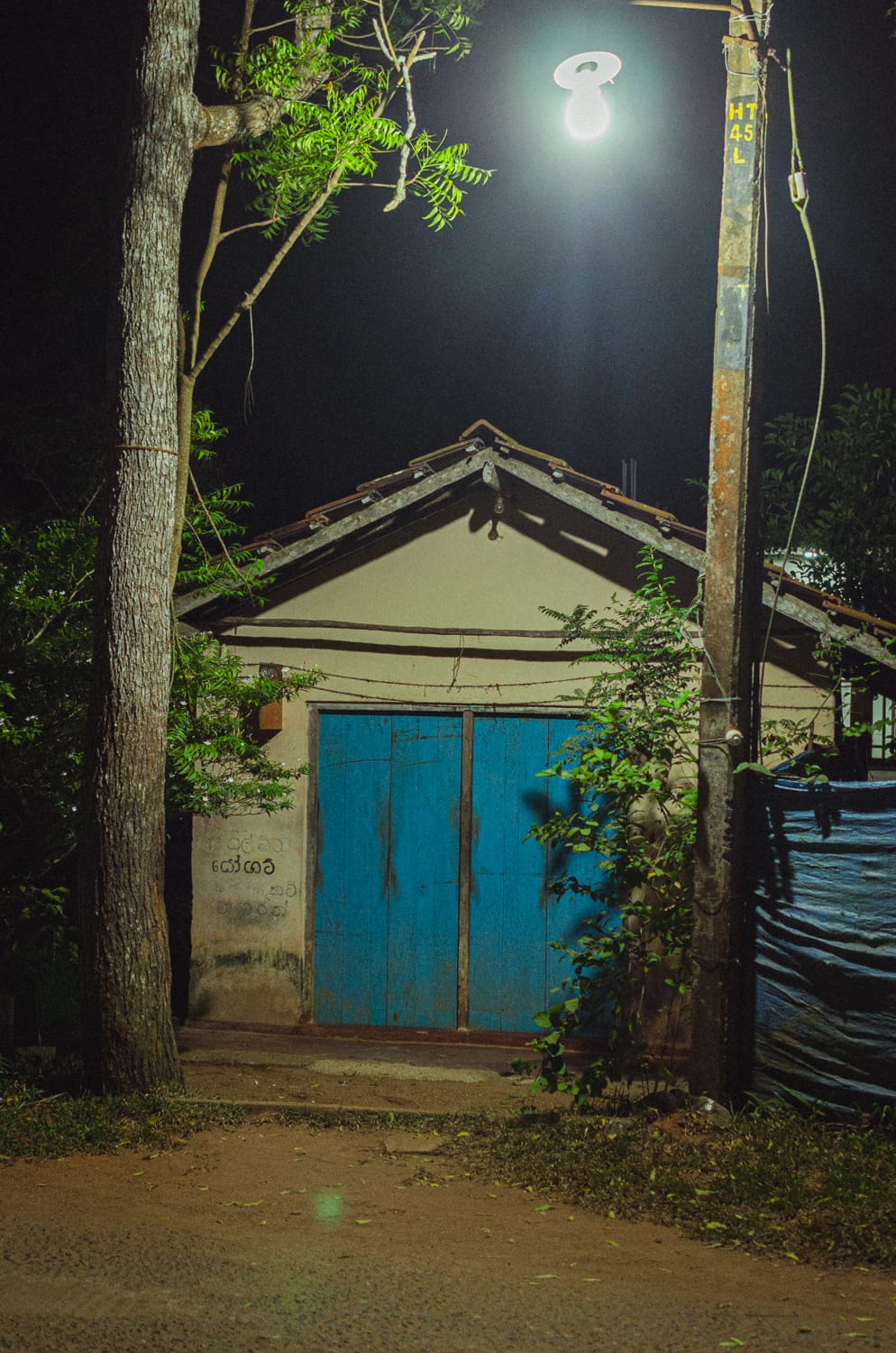 Фото 540 из альбома Sri Lanka 2019