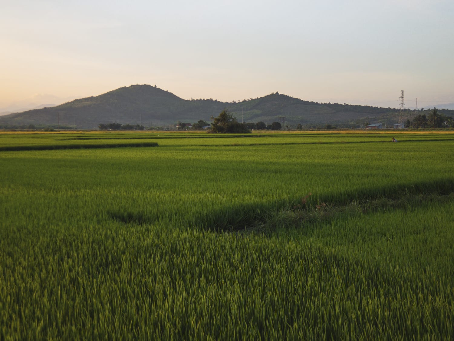 Фото 8 из альбома Vietnam & Bali Shoot on iPhone 2020