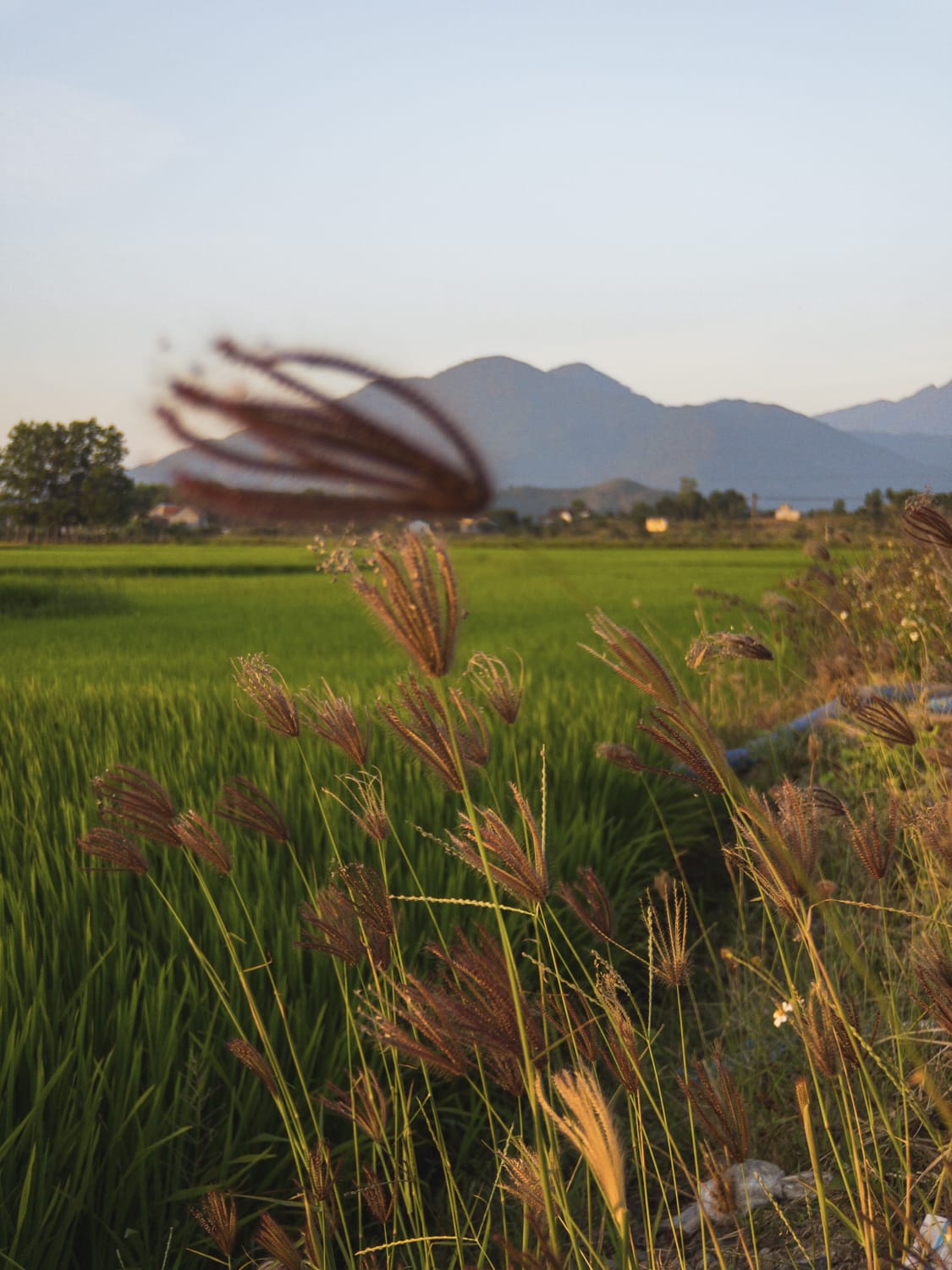 Фото 9 из альбома Vietnam & Bali Shoot on iPhone 2020