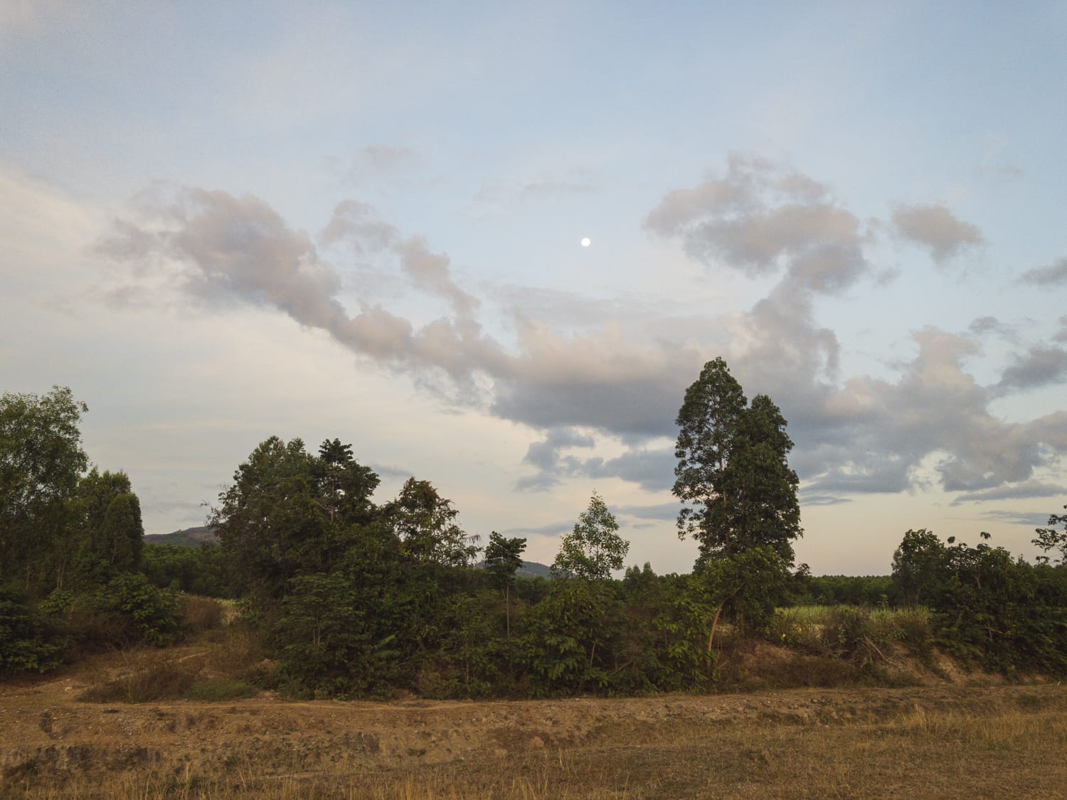 Фото 24 из альбома Vietnam & Bali Shoot on iPhone 2020