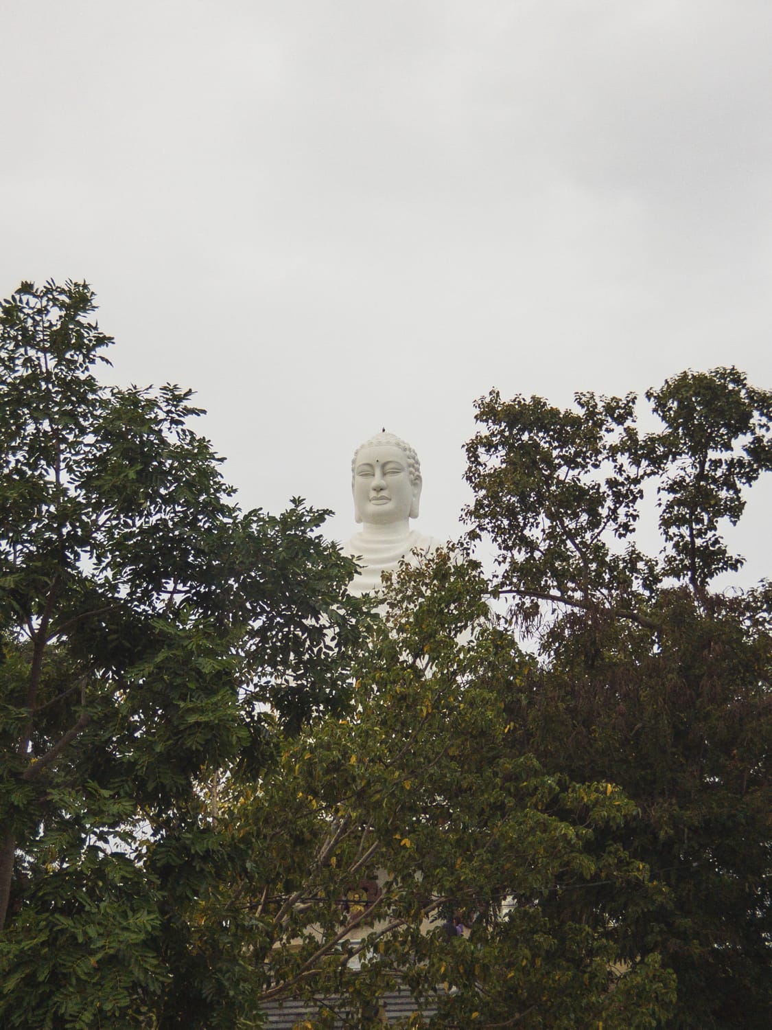 Фото 40 из альбома Vietnam & Bali Shoot on iPhone 2020