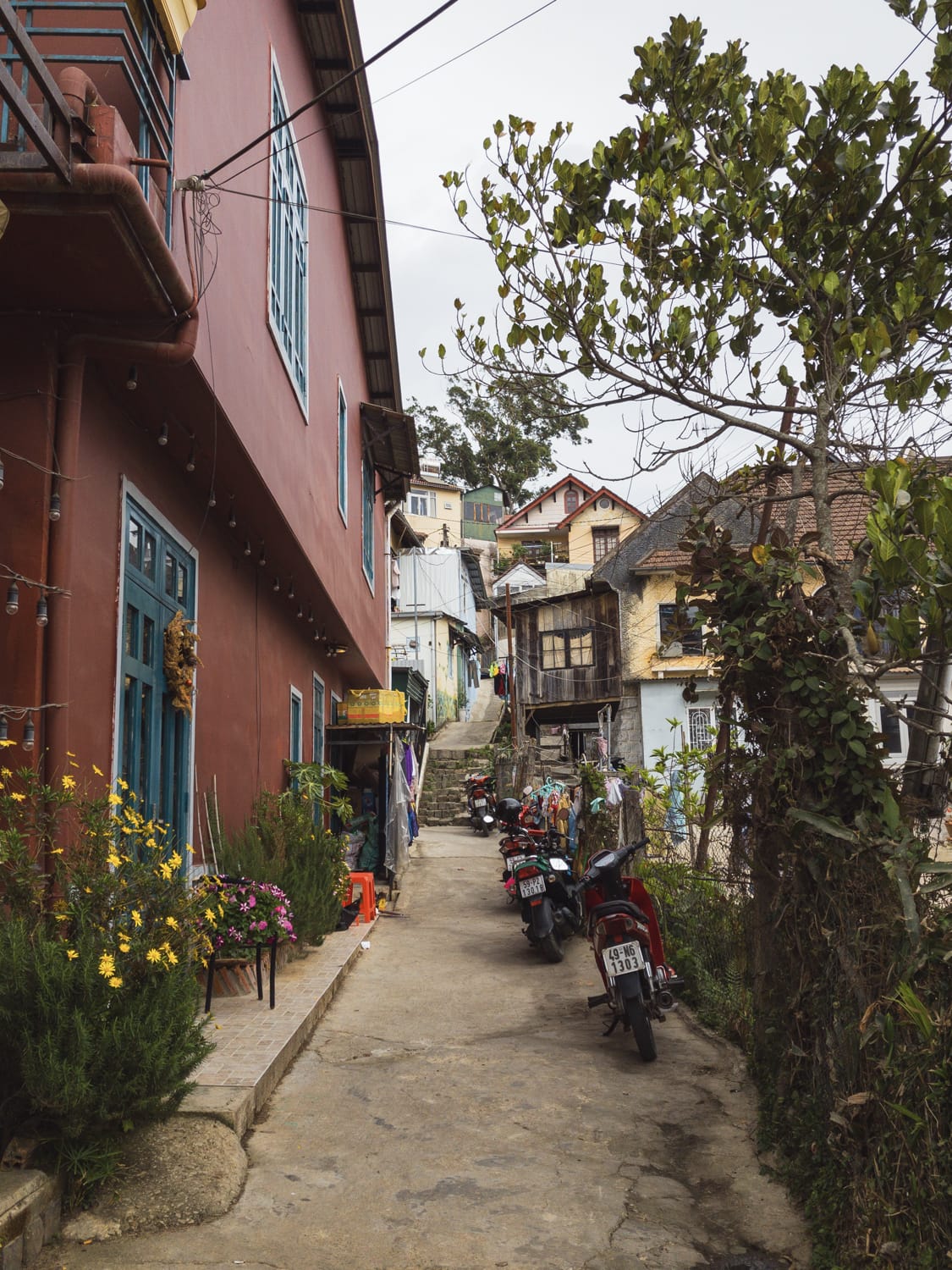 Фото 62 из альбома Vietnam & Bali Shoot on iPhone 2020