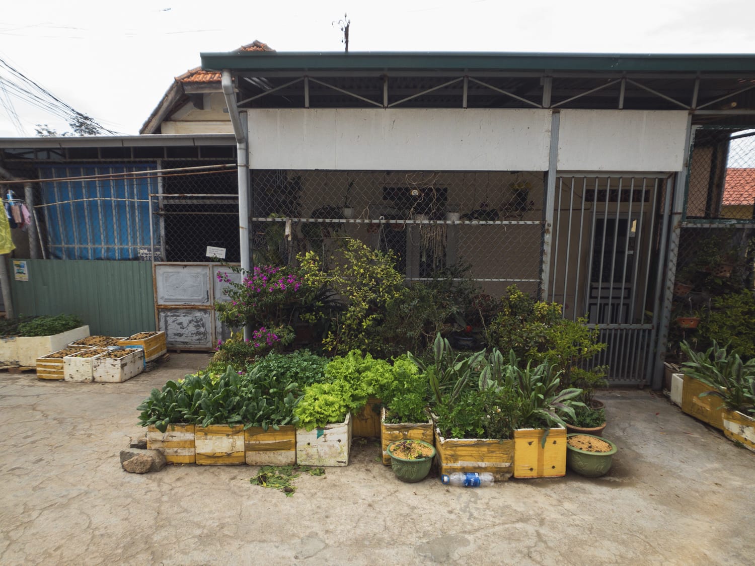 Фото 66 из альбома Vietnam & Bali Shoot on iPhone 2020