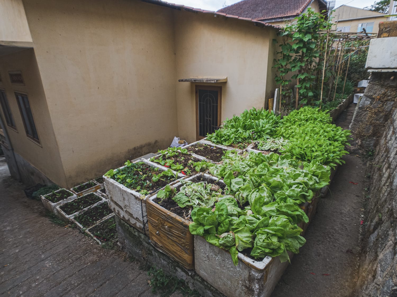 Фото 67 из альбома Vietnam & Bali Shoot on iPhone 2020