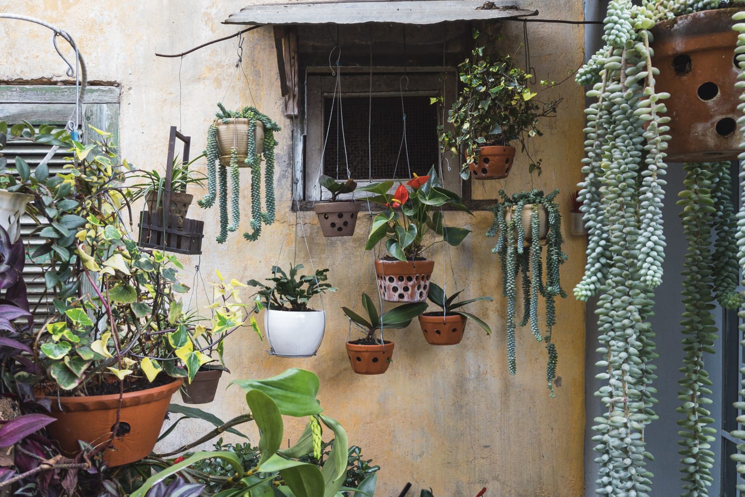 Фото 70 из альбома Vietnam & Bali Shoot on iPhone 2020