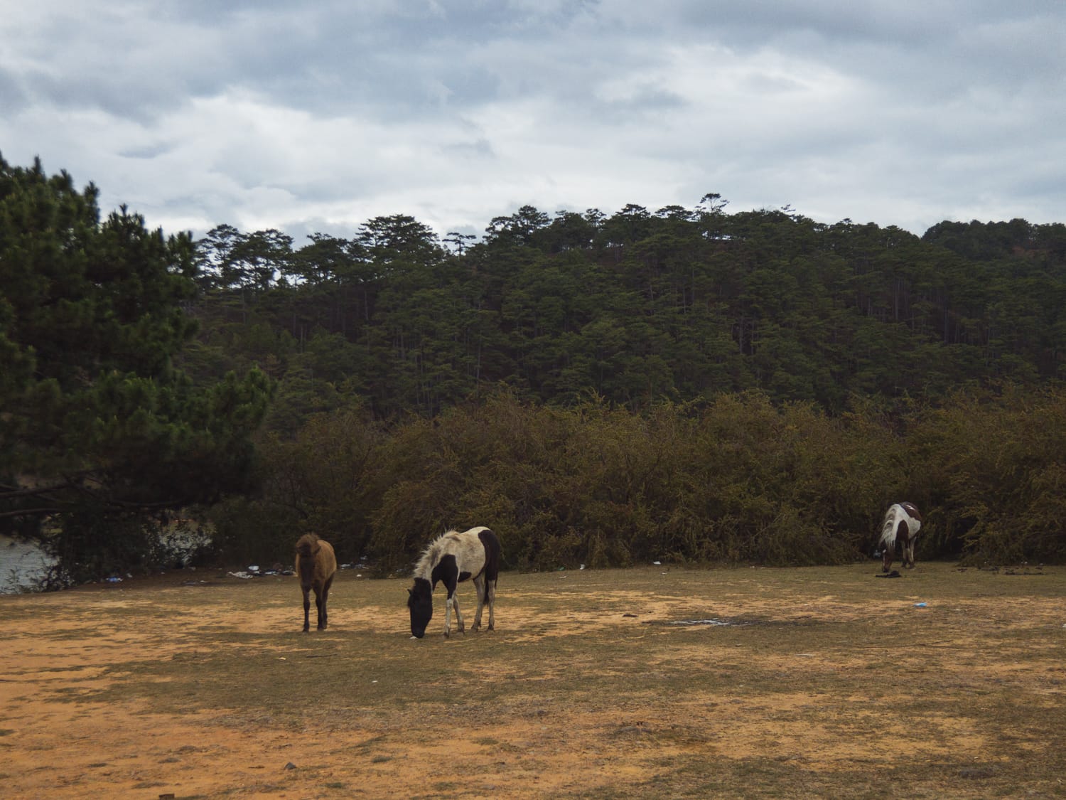 Фото 74 из альбома Vietnam & Bali Shoot on iPhone 2020