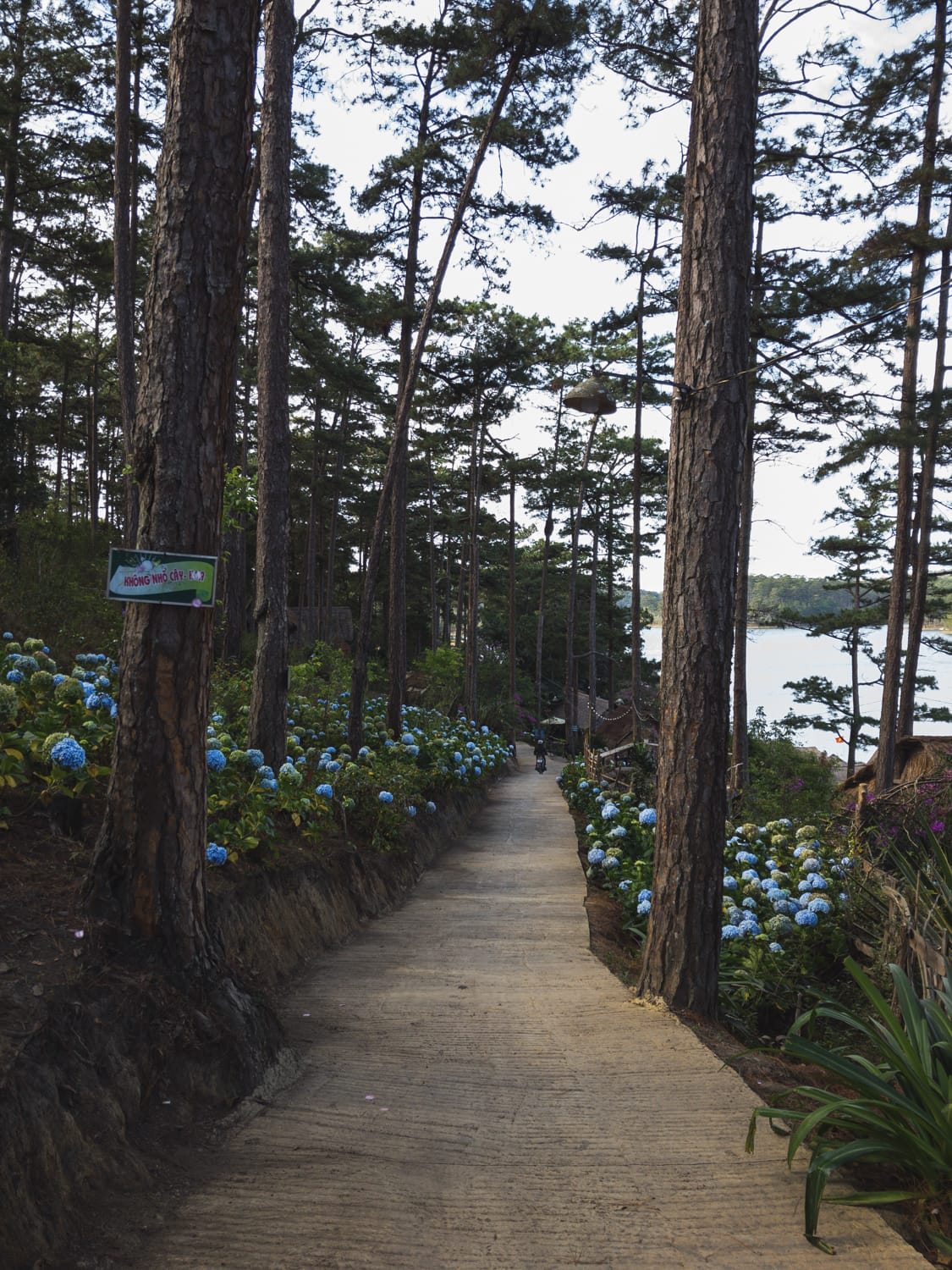 Фото 77 из альбома Vietnam & Bali Shoot on iPhone 2020