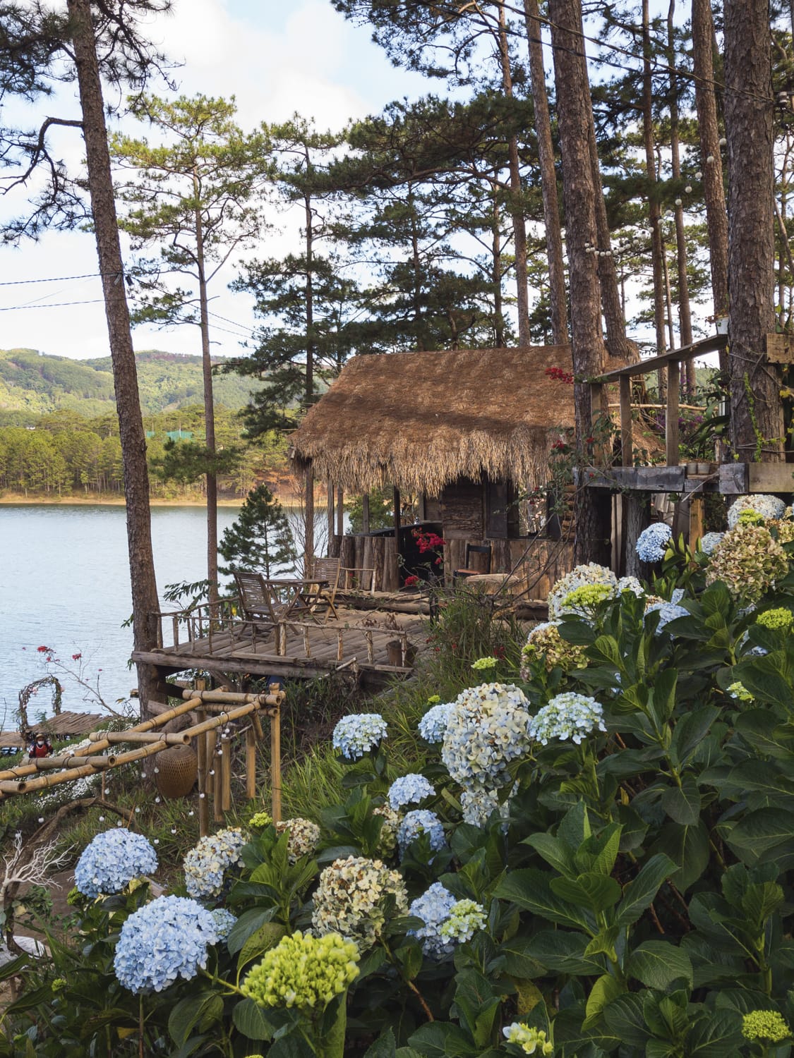 Фото 78 из альбома Vietnam & Bali Shoot on iPhone 2020