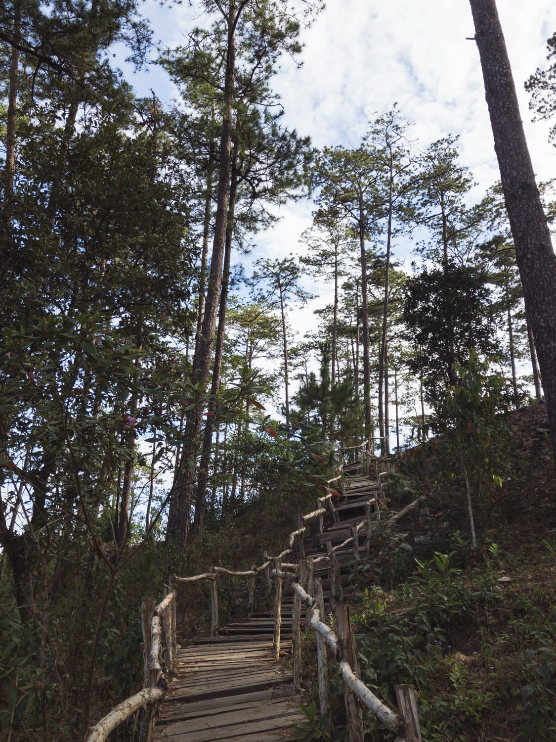 Фото 80 из альбома Vietnam & Bali Shoot on iPhone 2020