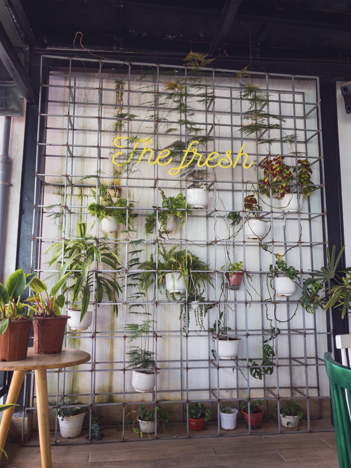 Фото 94 из альбома Vietnam & Bali Shoot on iPhone 2020