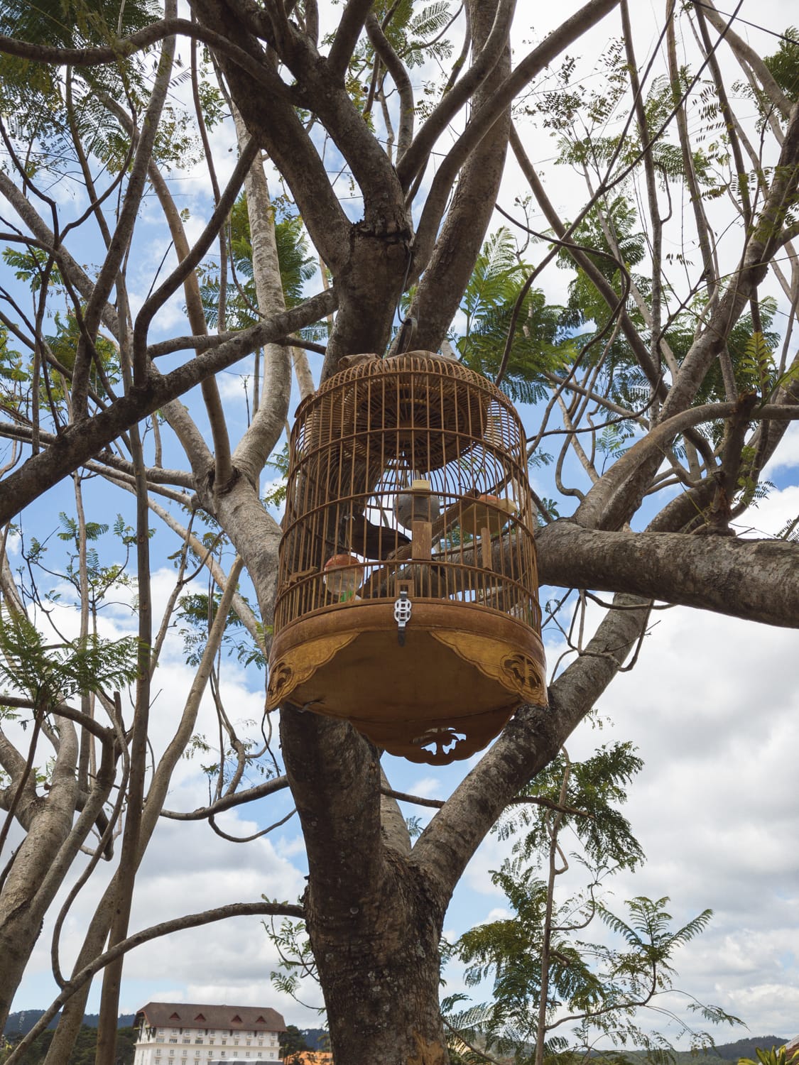 Фото 95 из альбома Vietnam & Bali Shoot on iPhone 2020