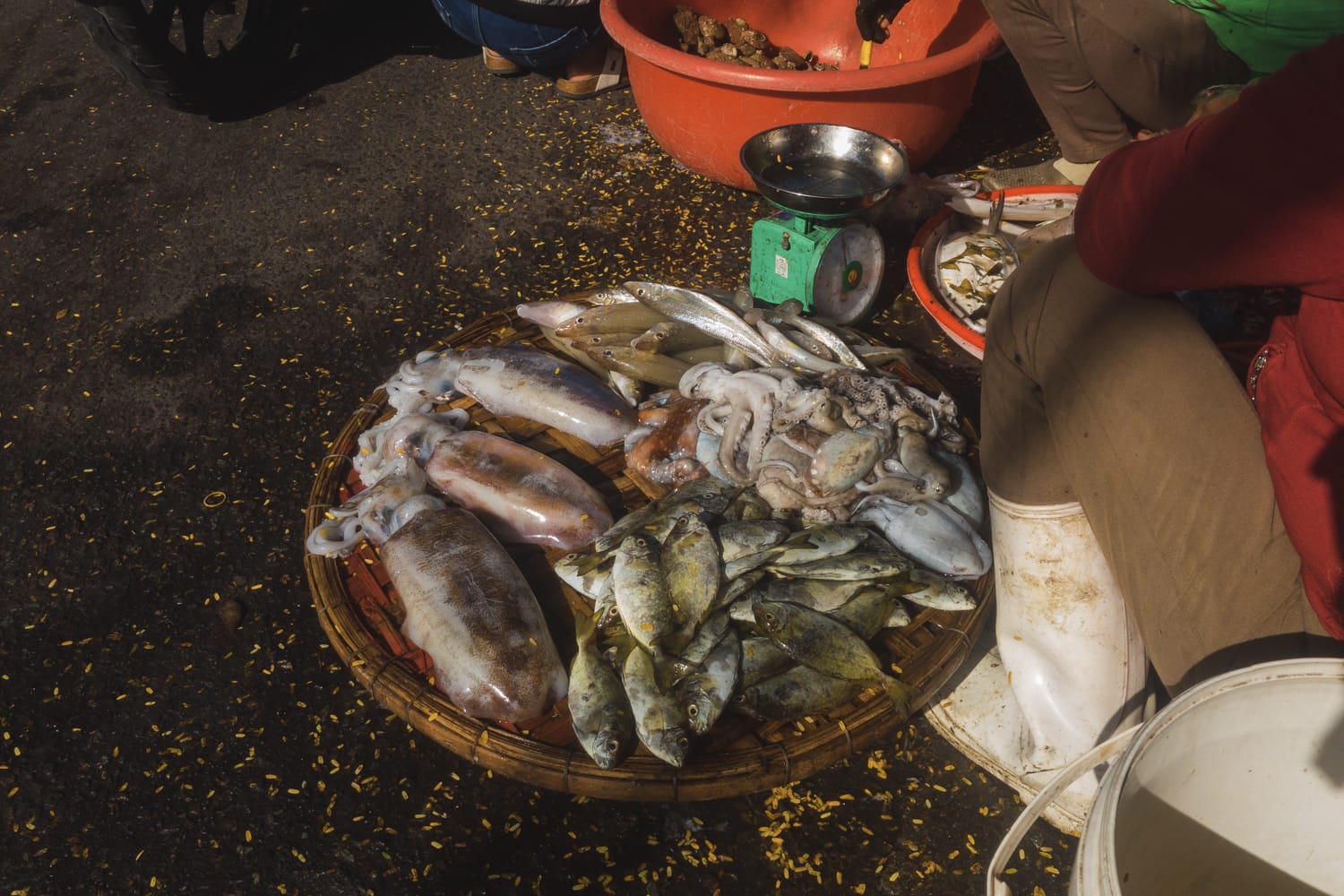 Фото 103 из альбома Vietnam & Bali Shoot on iPhone 2020