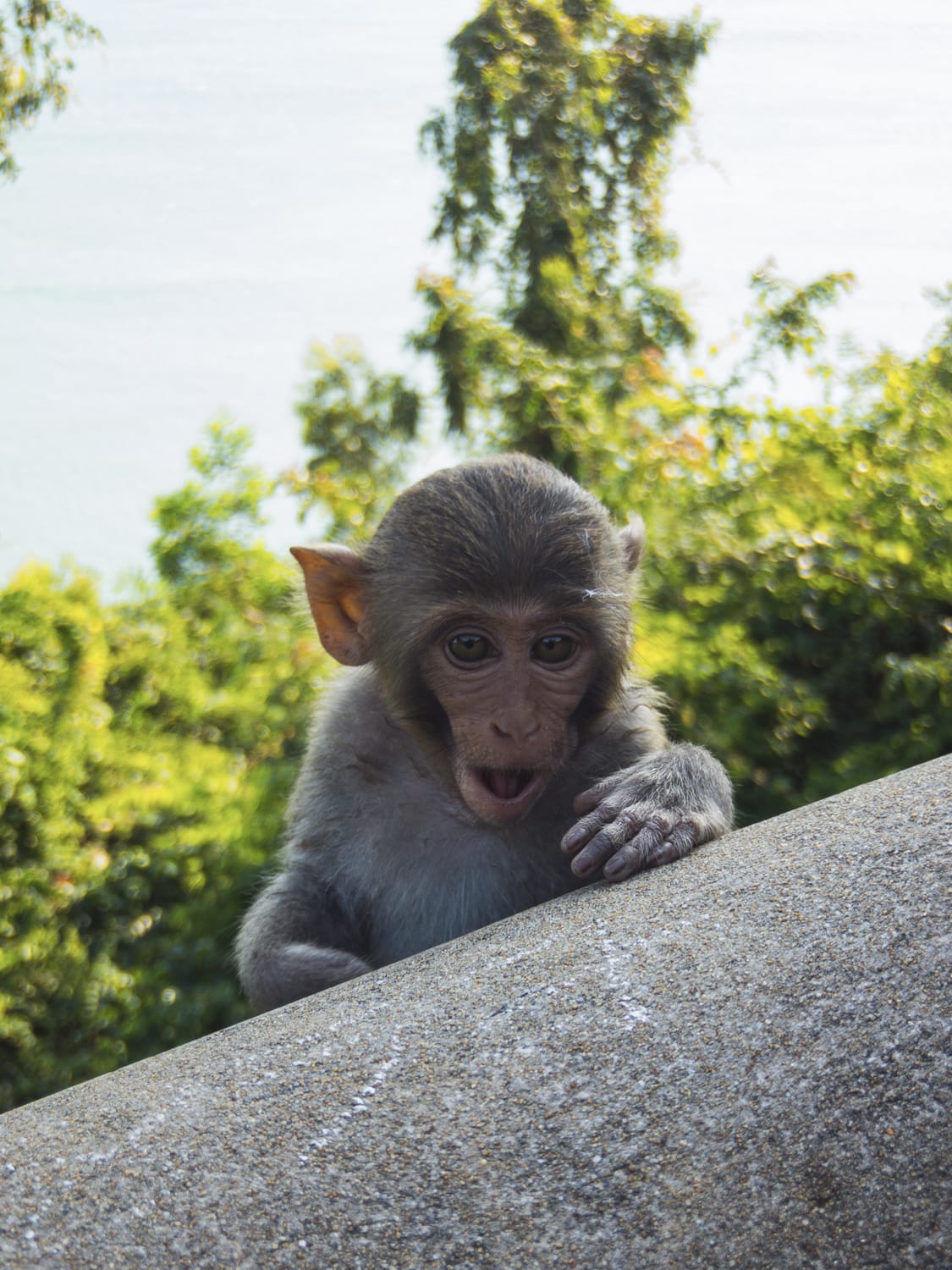 Фото 133 из альбома Vietnam & Bali Shoot on iPhone 2020