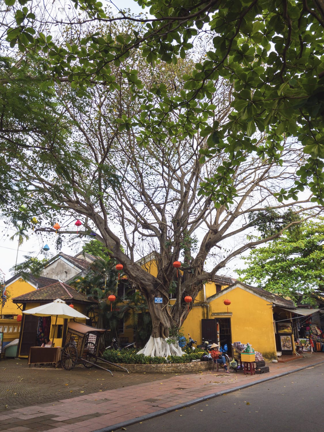 Фото 159 из альбома Vietnam & Bali Shoot on iPhone 2020