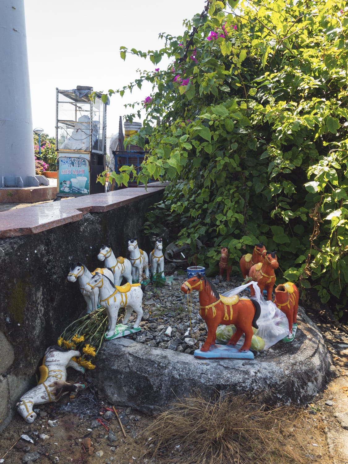 Фото 169 из альбома Vietnam & Bali Shoot on iPhone 2020