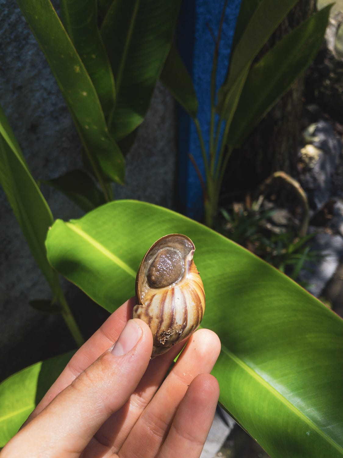 Фото 192 из альбома Vietnam & Bali Shoot on iPhone 2020