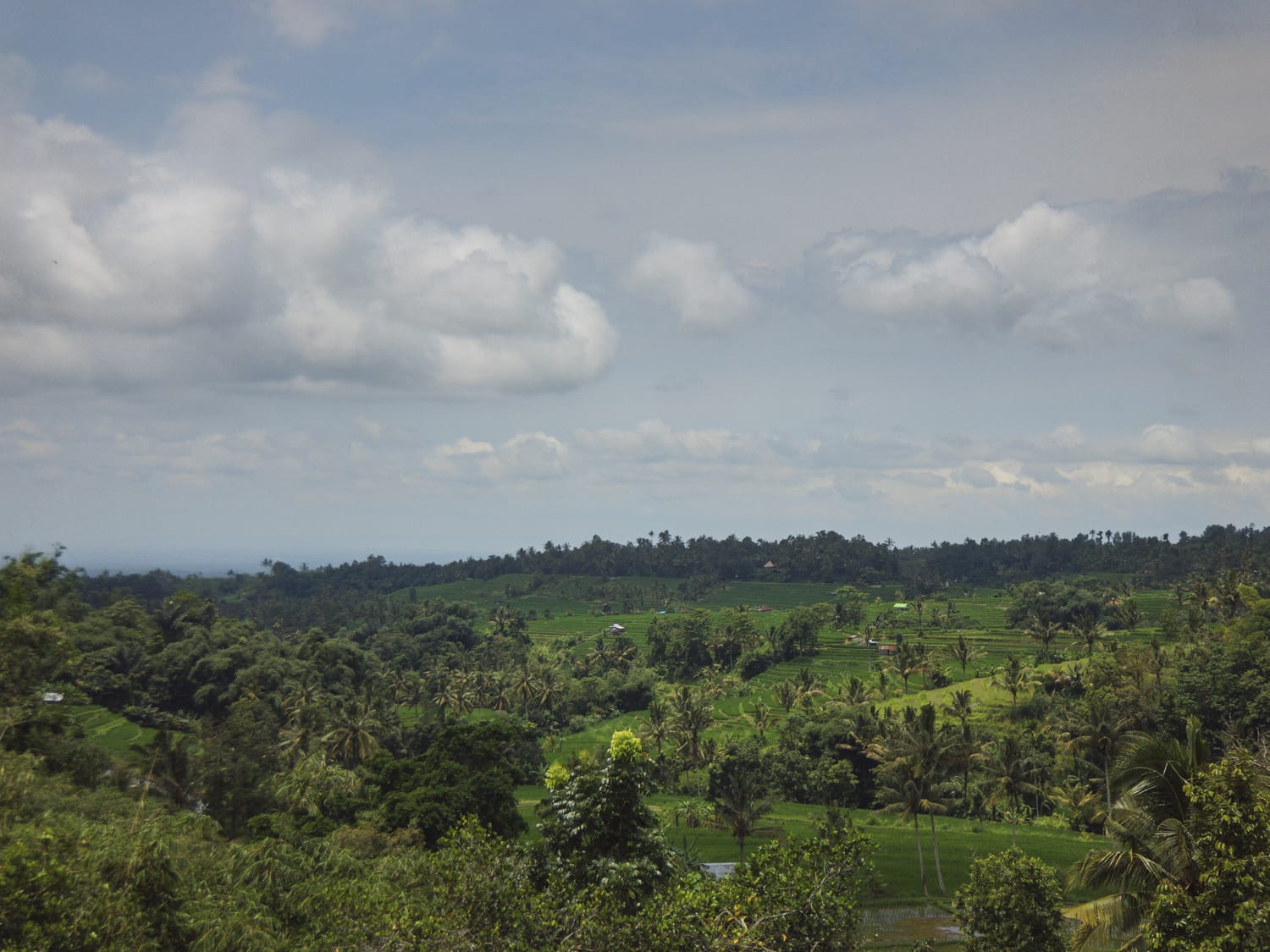 Фото 205 из альбома Vietnam & Bali Shoot on iPhone 2020