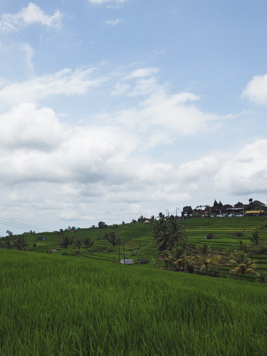 Фото 206 из альбома Vietnam & Bali Shoot on iPhone 2020