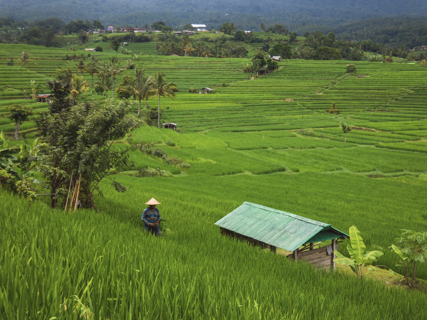 Фото 212 из альбома Vietnam & Bali Shoot on iPhone 2020