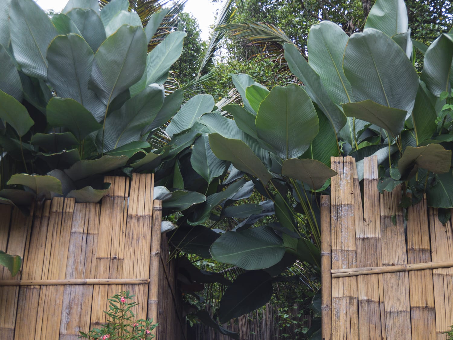 Фото 214 из альбома Vietnam & Bali Shoot on iPhone 2020