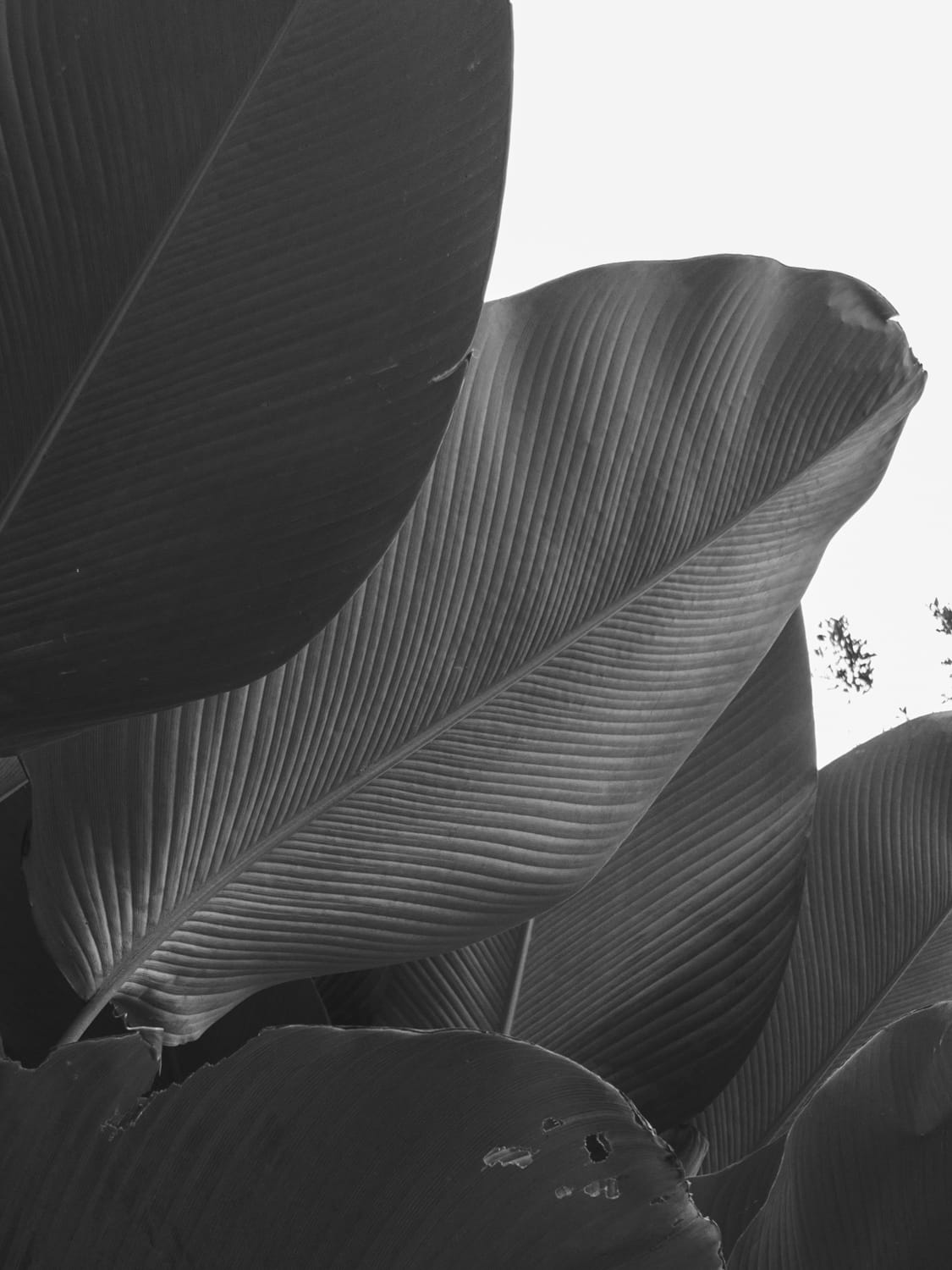 Фото 216 из альбома Vietnam & Bali Shoot on iPhone 2020