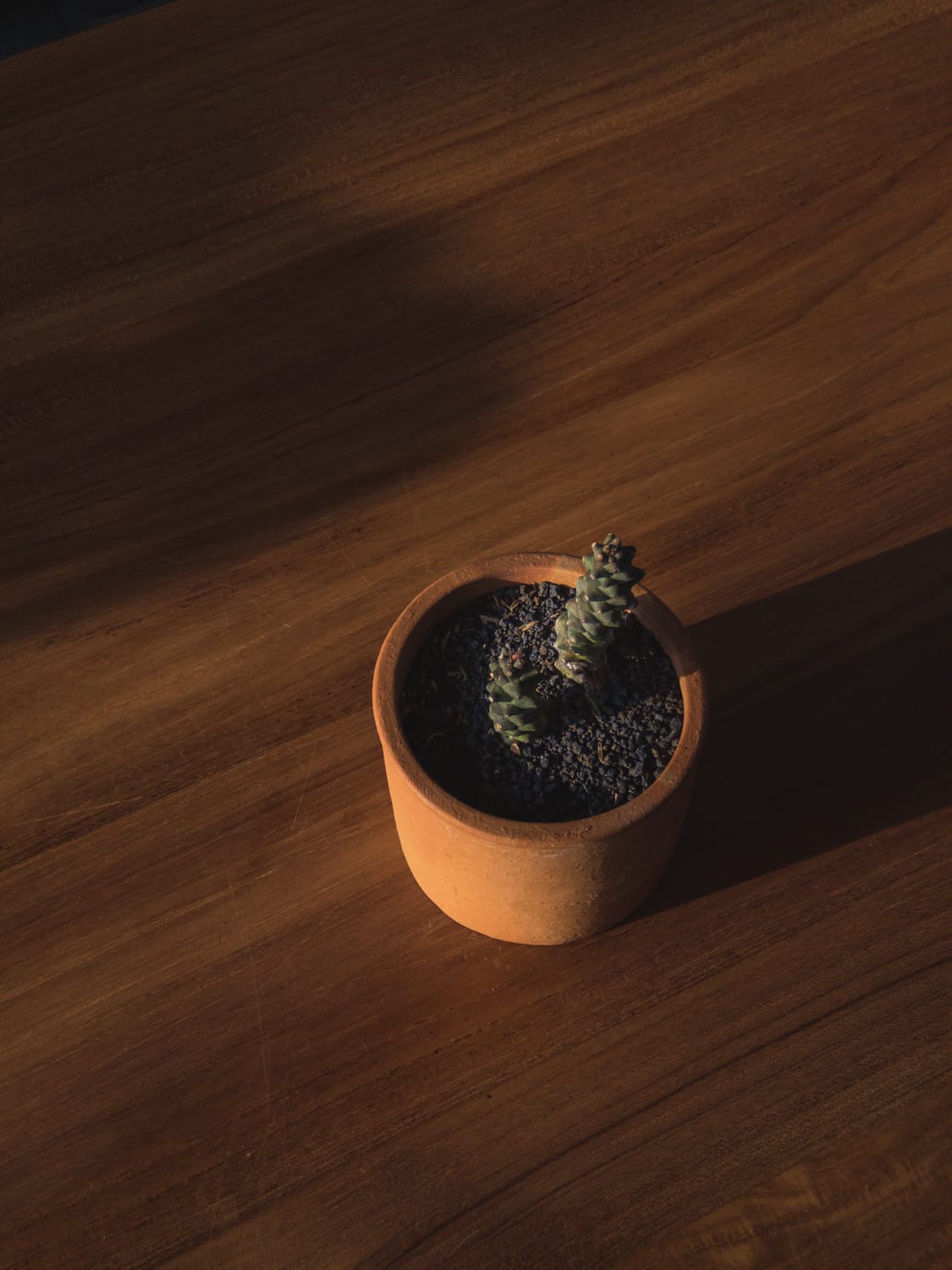 Фото 234 из альбома Vietnam & Bali Shoot on iPhone 2020