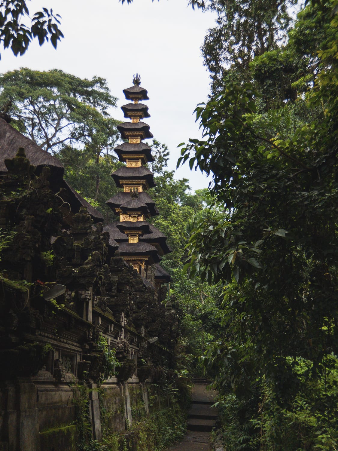 Фото 241 из альбома Vietnam & Bali Shoot on iPhone 2020