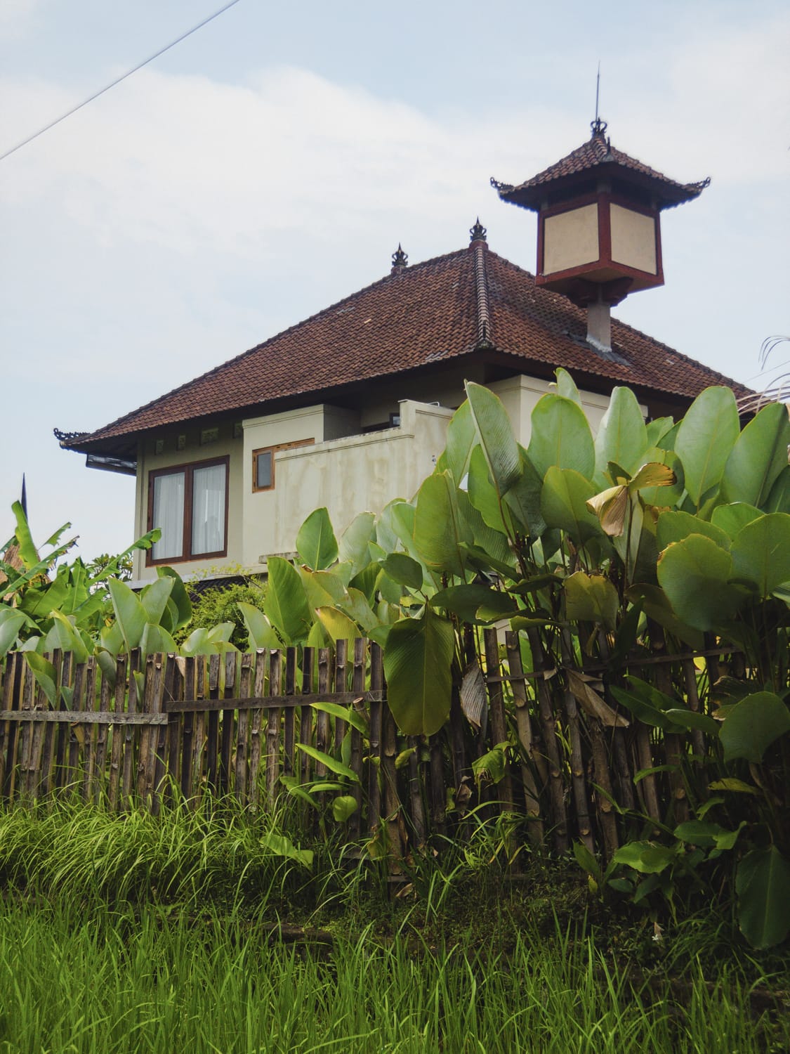 Фото 242 из альбома Vietnam & Bali Shoot on iPhone 2020