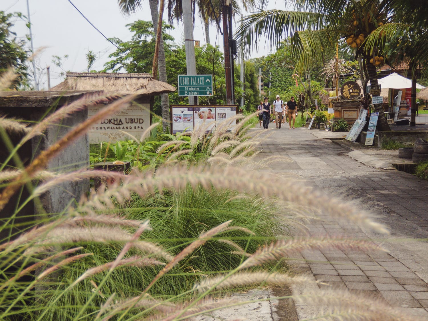 Фото 243 из альбома Vietnam & Bali Shoot on iPhone 2020