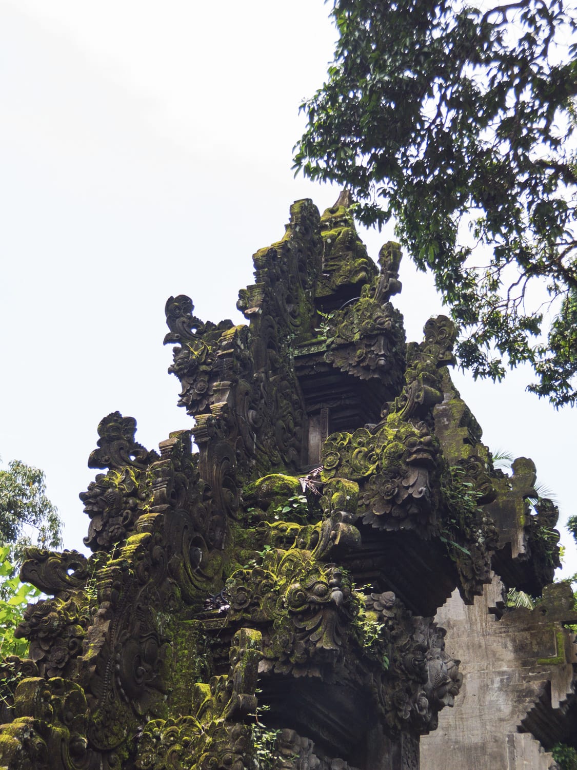 Фото 244 из альбома Vietnam & Bali Shoot on iPhone 2020