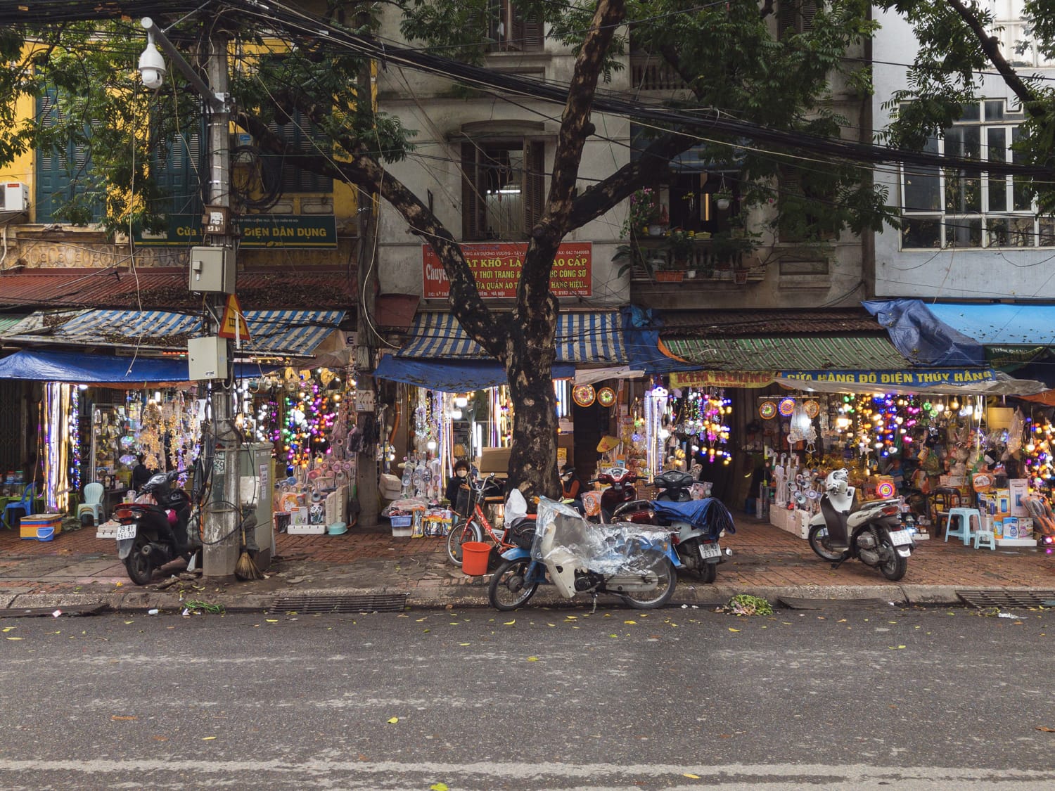 Фото 256 из альбома Vietnam & Bali Shoot on iPhone 2020