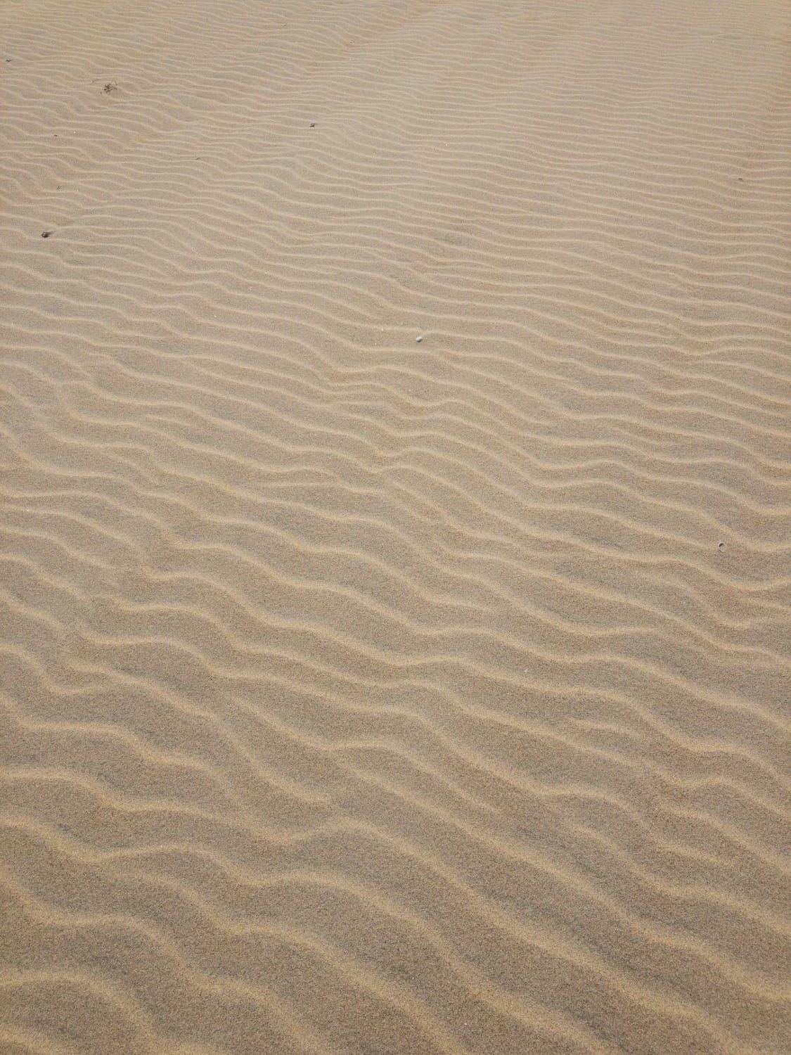 Фото 263 из альбома Vietnam & Bali Shoot on iPhone 2020